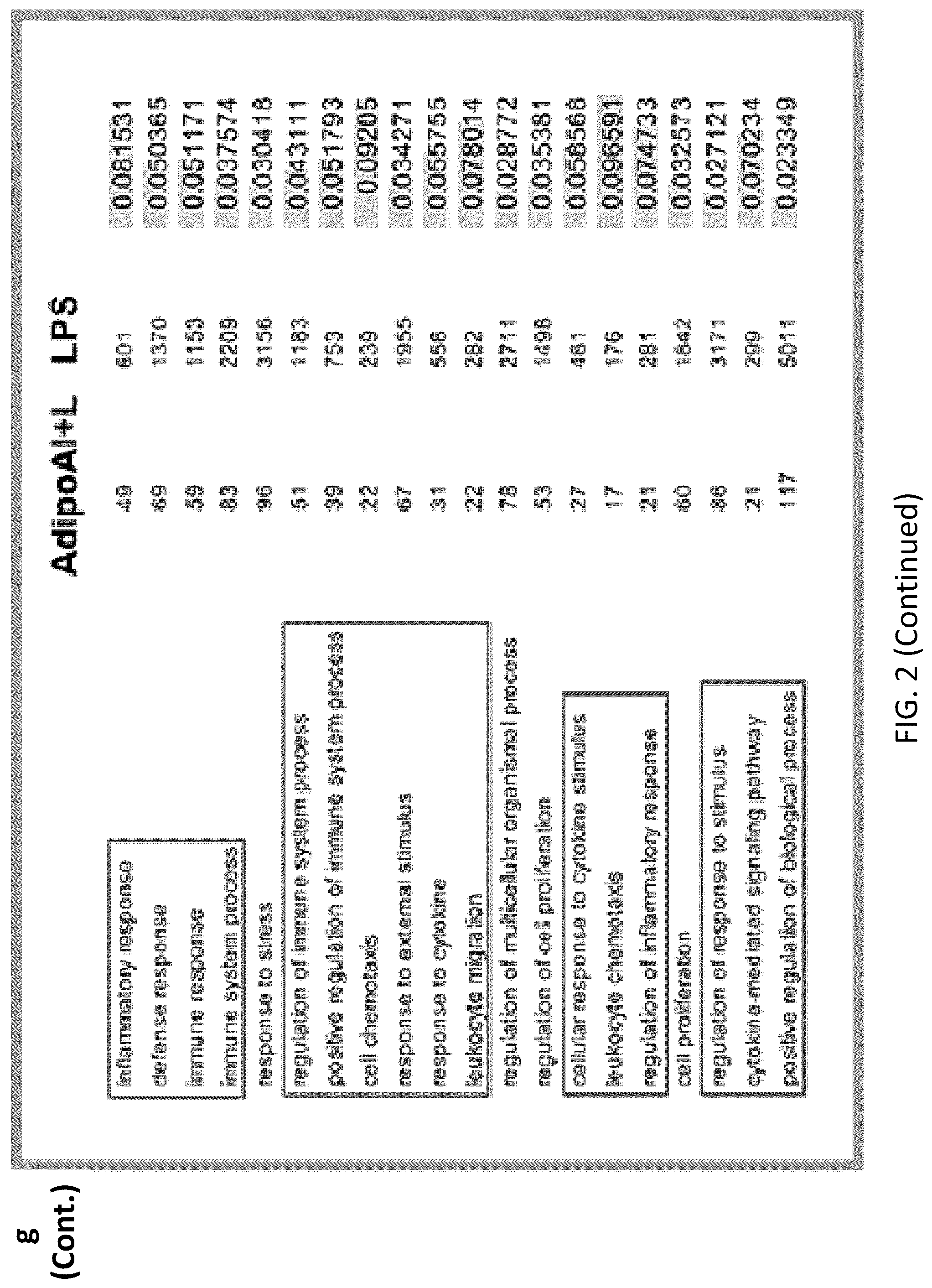 Patent US12098131 Figure 13 – Using adiponectin receptor agonists to treat inflammation and bone diseases in diabetes