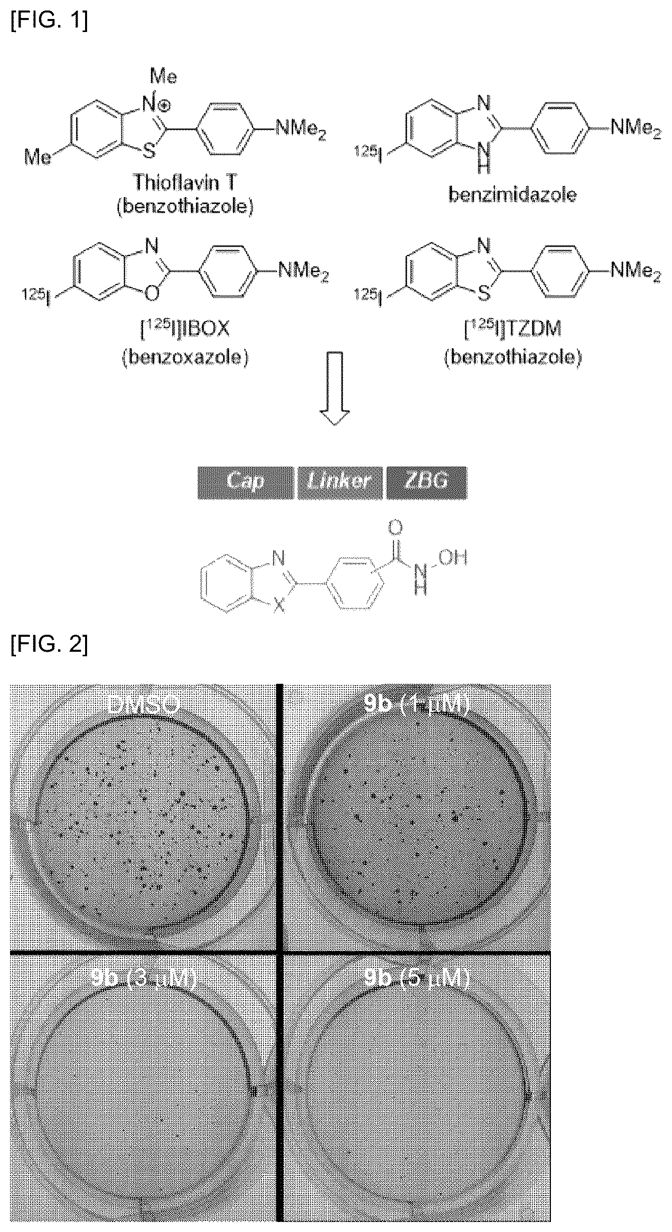 Patent US12098134 Figure 1 – Benzo-heterocyclic compound and composition for preventing or treating cancer disease, containing same as active ingredient
