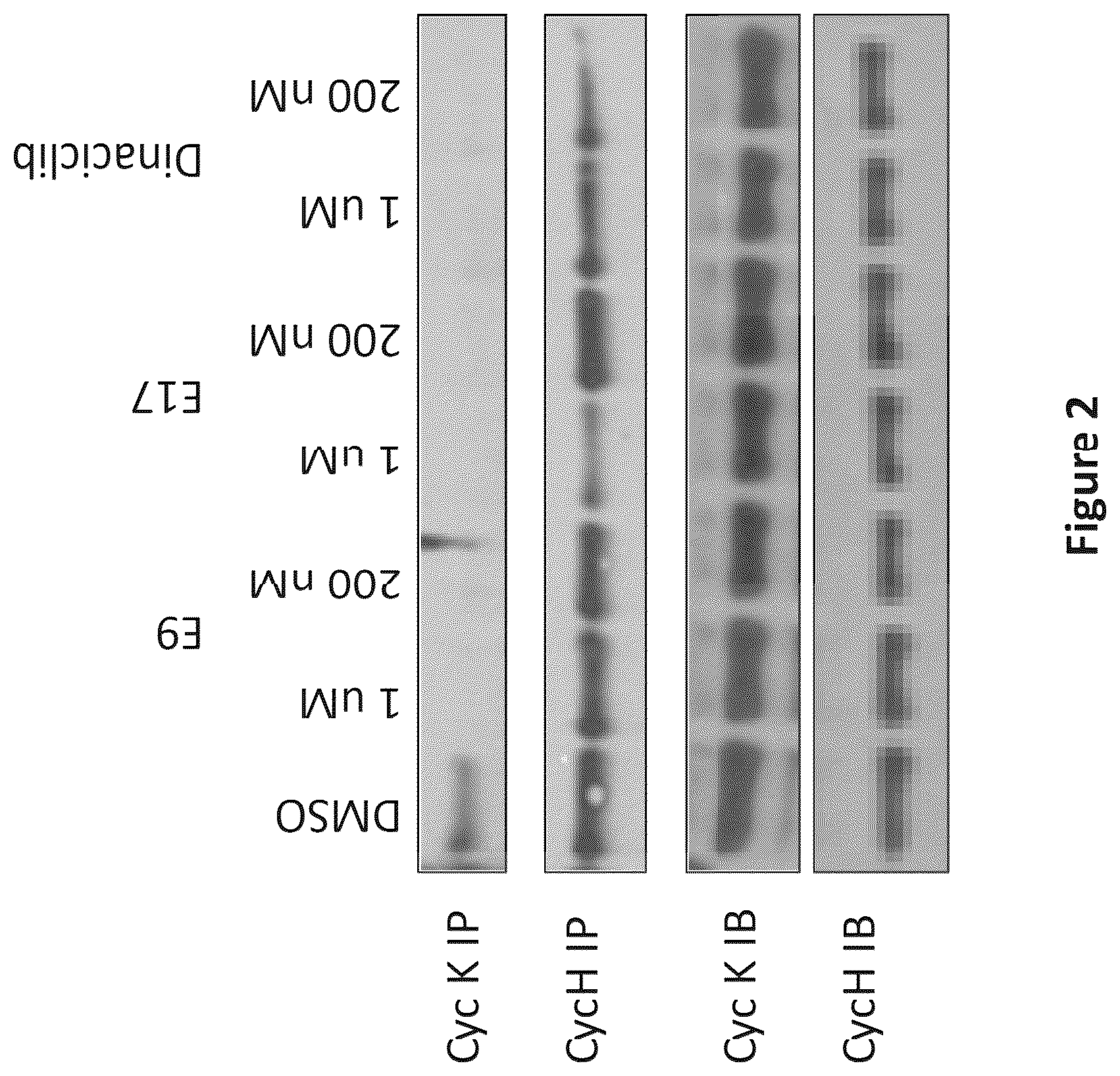 Patent US12098154 Figure 2 – Inhibitors of cyclin-dependent kinases