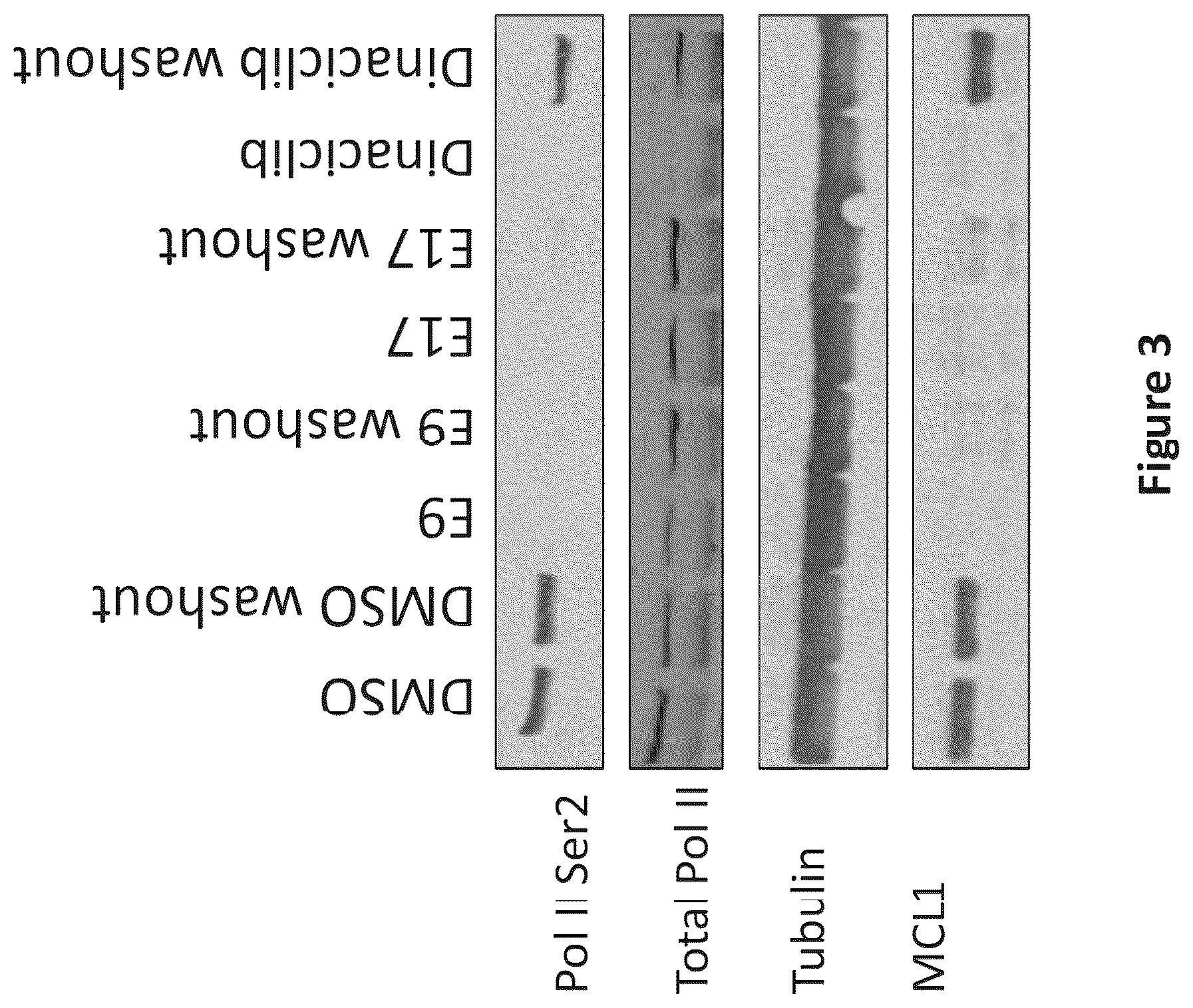 Patent US12098154 Figure 3 – Inhibitors of cyclin-dependent kinases