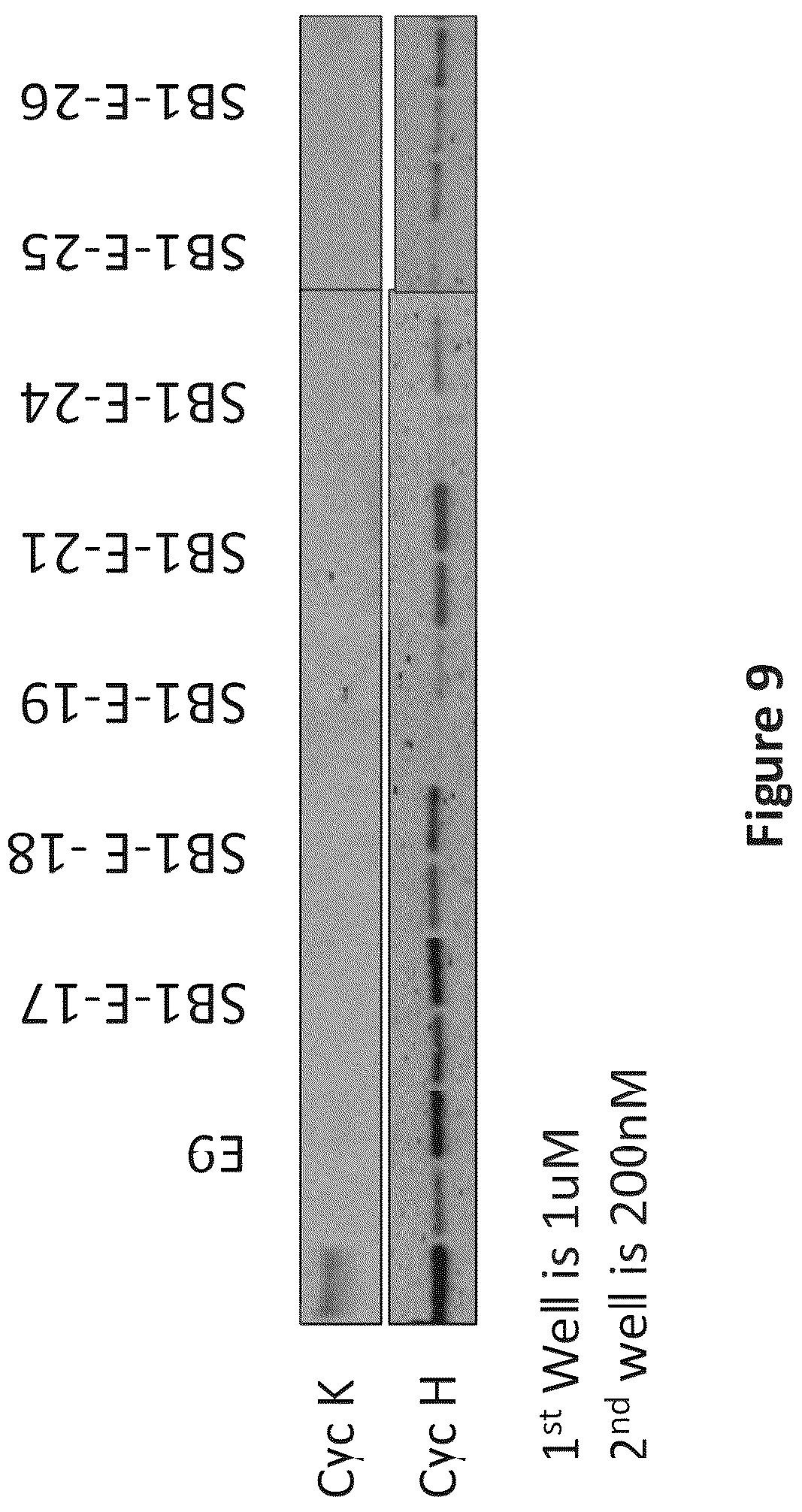Patent US12098154 Figure 10 – Inhibitors of cyclin-dependent kinases