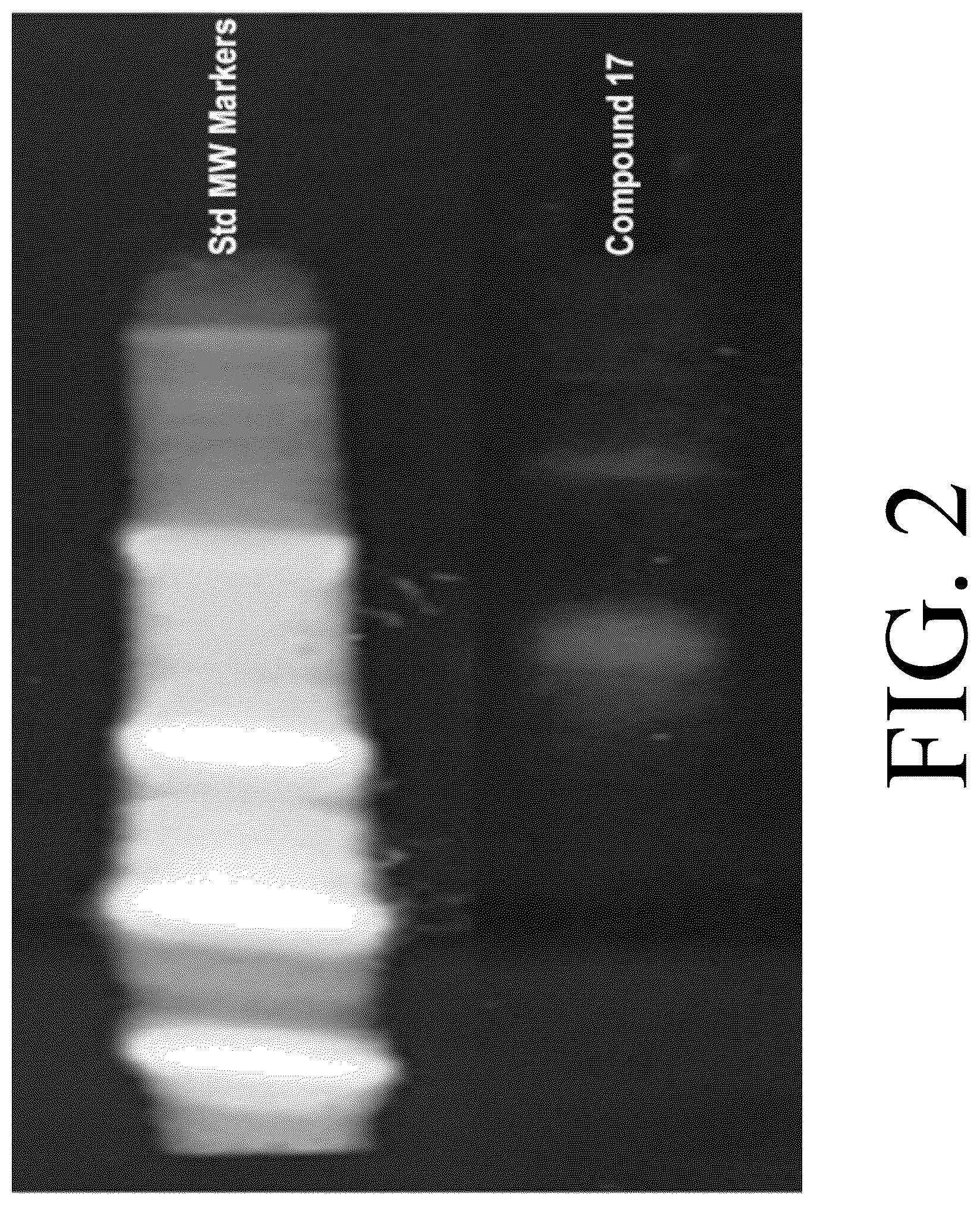 Patent US12098161 Figure 2 – Programmable polymeric drugs