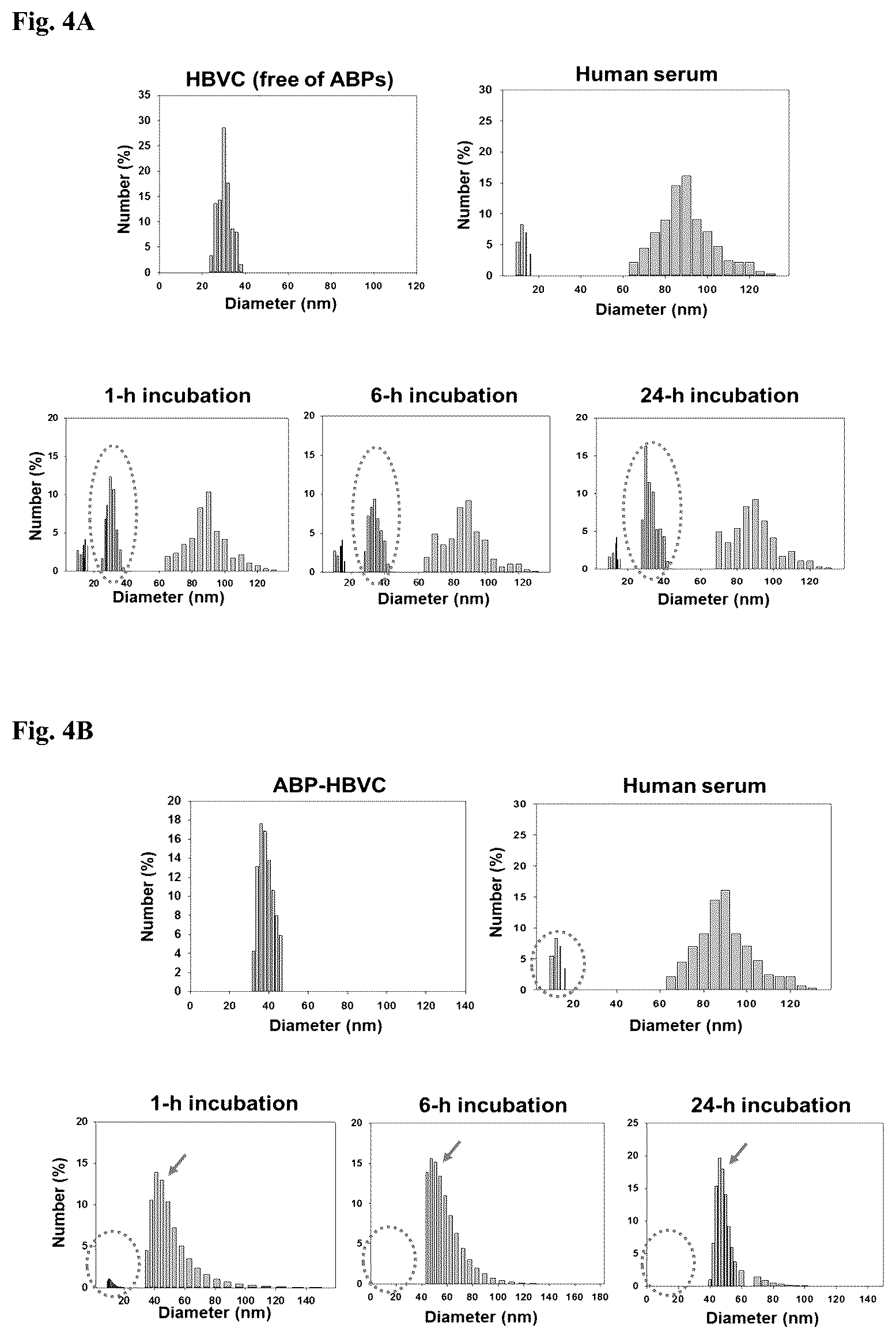 Patent US12098164 Figure 3 – Non-immunogenic protein nanoparticles with cancer targeting activity using albumin-binding peptide