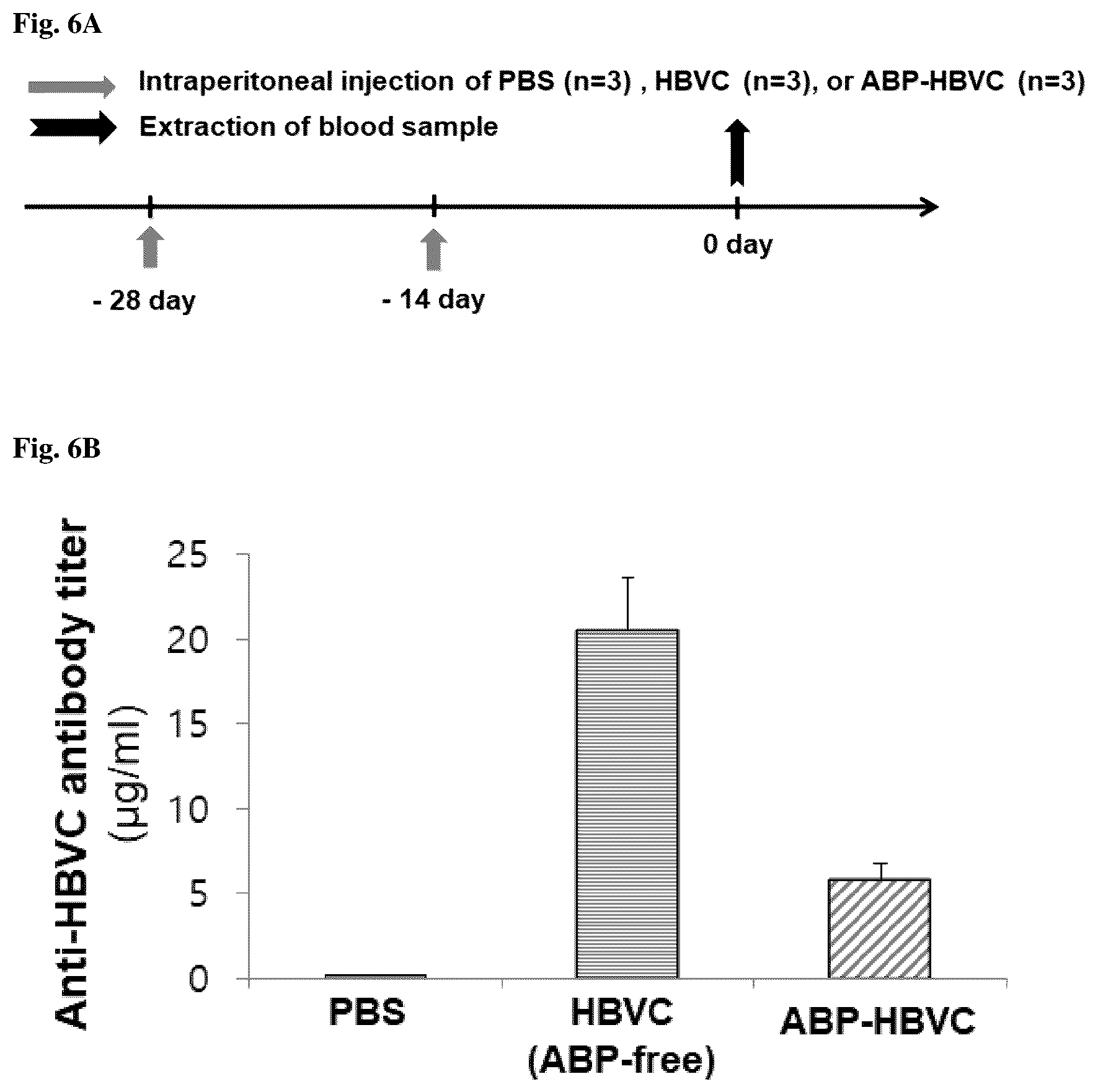 Patent US12098164 Figure 5 – Non-immunogenic protein nanoparticles with cancer targeting activity using albumin-binding peptide