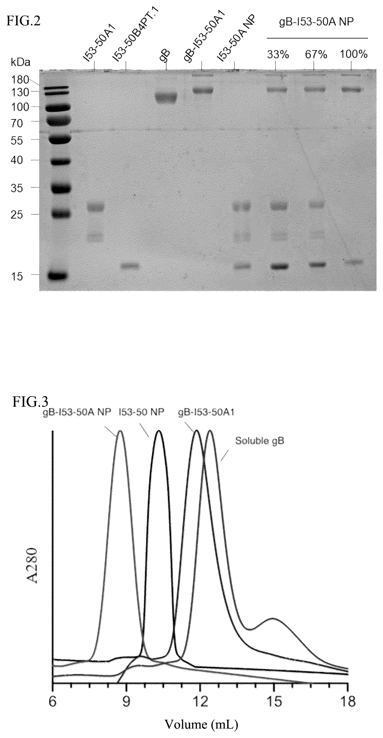 Patent US12098167 Figure 2 – Self-assembled nanoparticle containing gB protein of EB virus and preparation method and use thereof