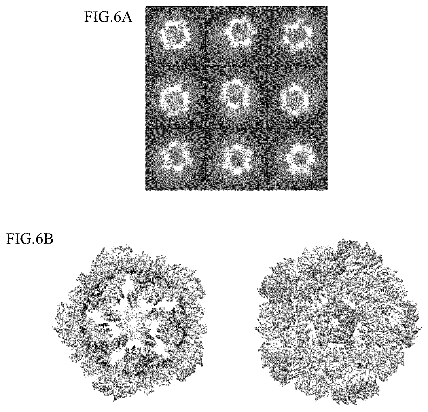 Patent US12098167 Figure 4 – Self-assembled nanoparticle containing gB protein of EB virus and preparation method and use thereof