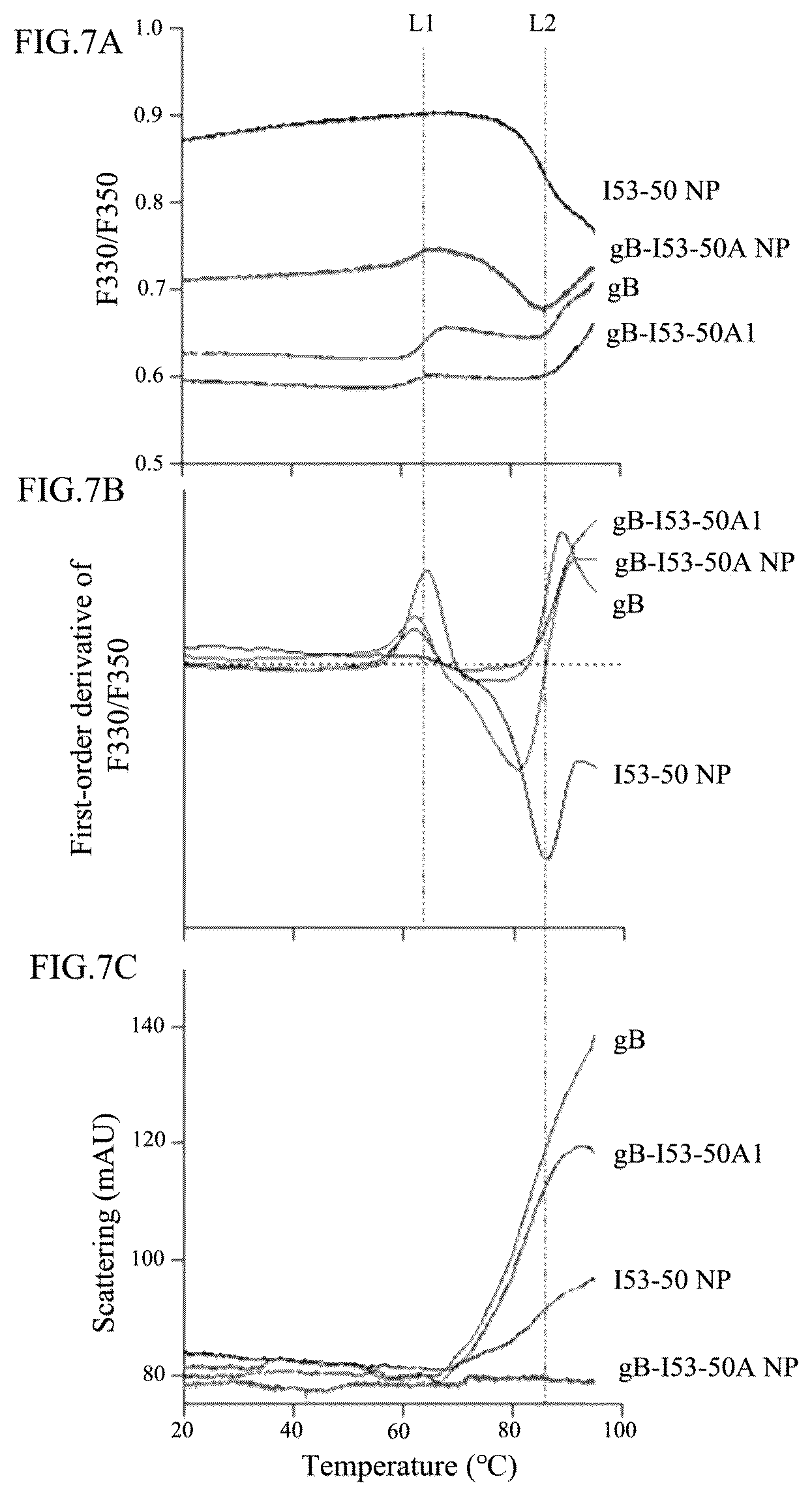 Patent US12098167 Figure 5 – Self-assembled nanoparticle containing gB protein of EB virus and preparation method and use thereof