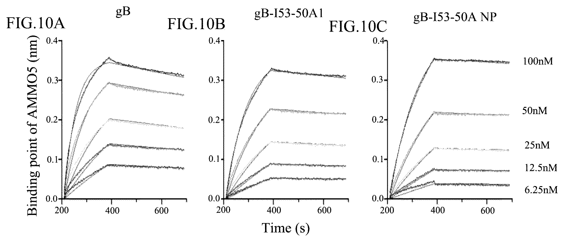 Patent US12098167 Figure 7 – Self-assembled nanoparticle containing gB protein of EB virus and preparation method and use thereof
