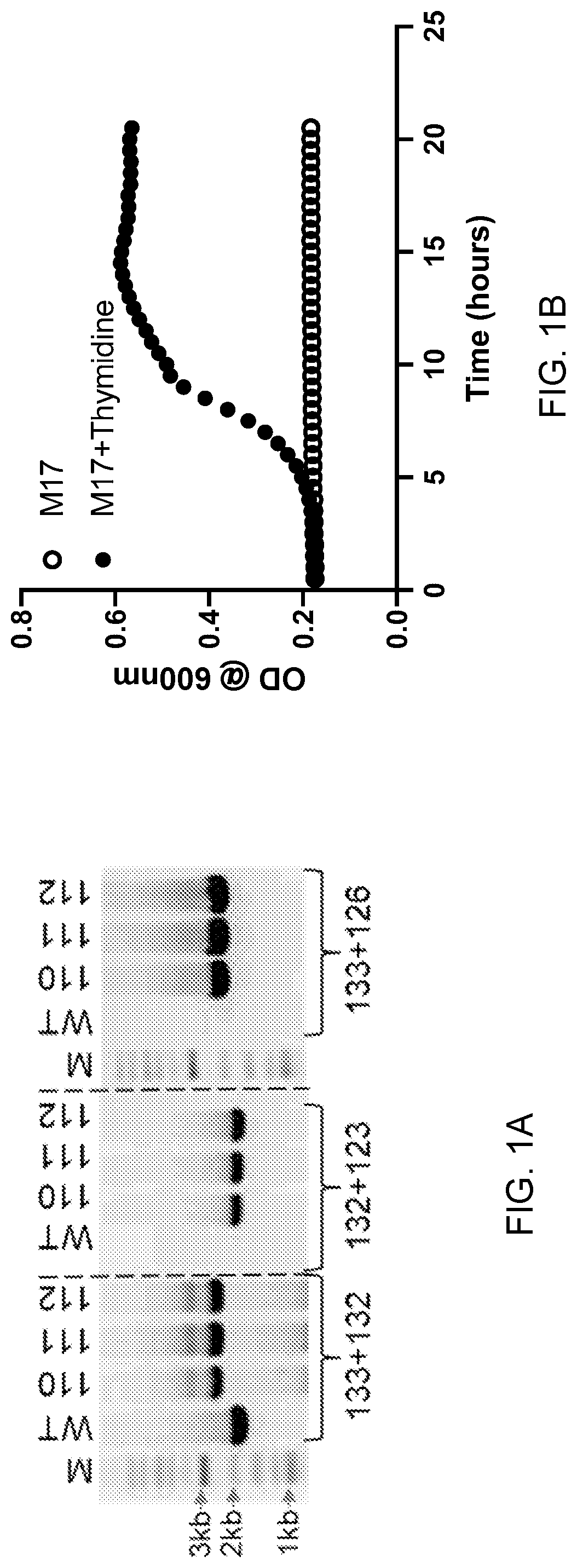 Patent US12098170 Figure 1 – Surface layer protein a (SlpA) as a therapeutic agent for the treatment of inflammatory diseases