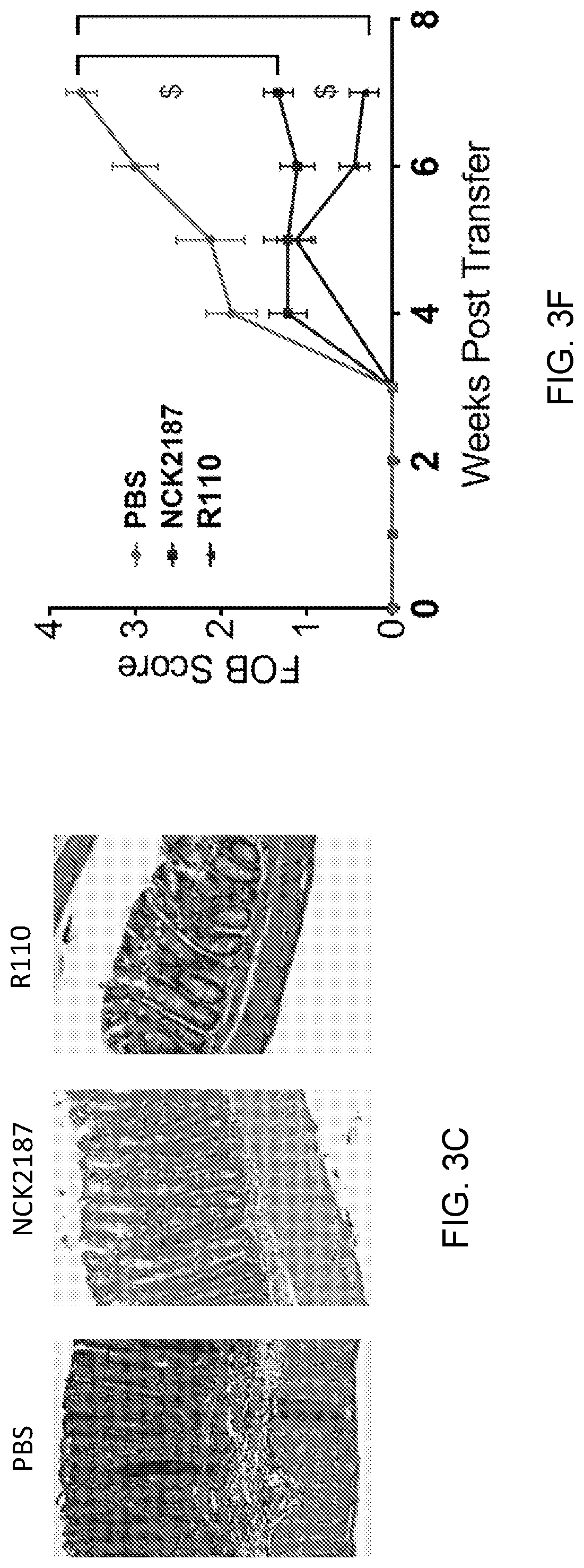 Patent US12098170 Figure 5 – Surface layer protein a (SlpA) as a therapeutic agent for the treatment of inflammatory diseases