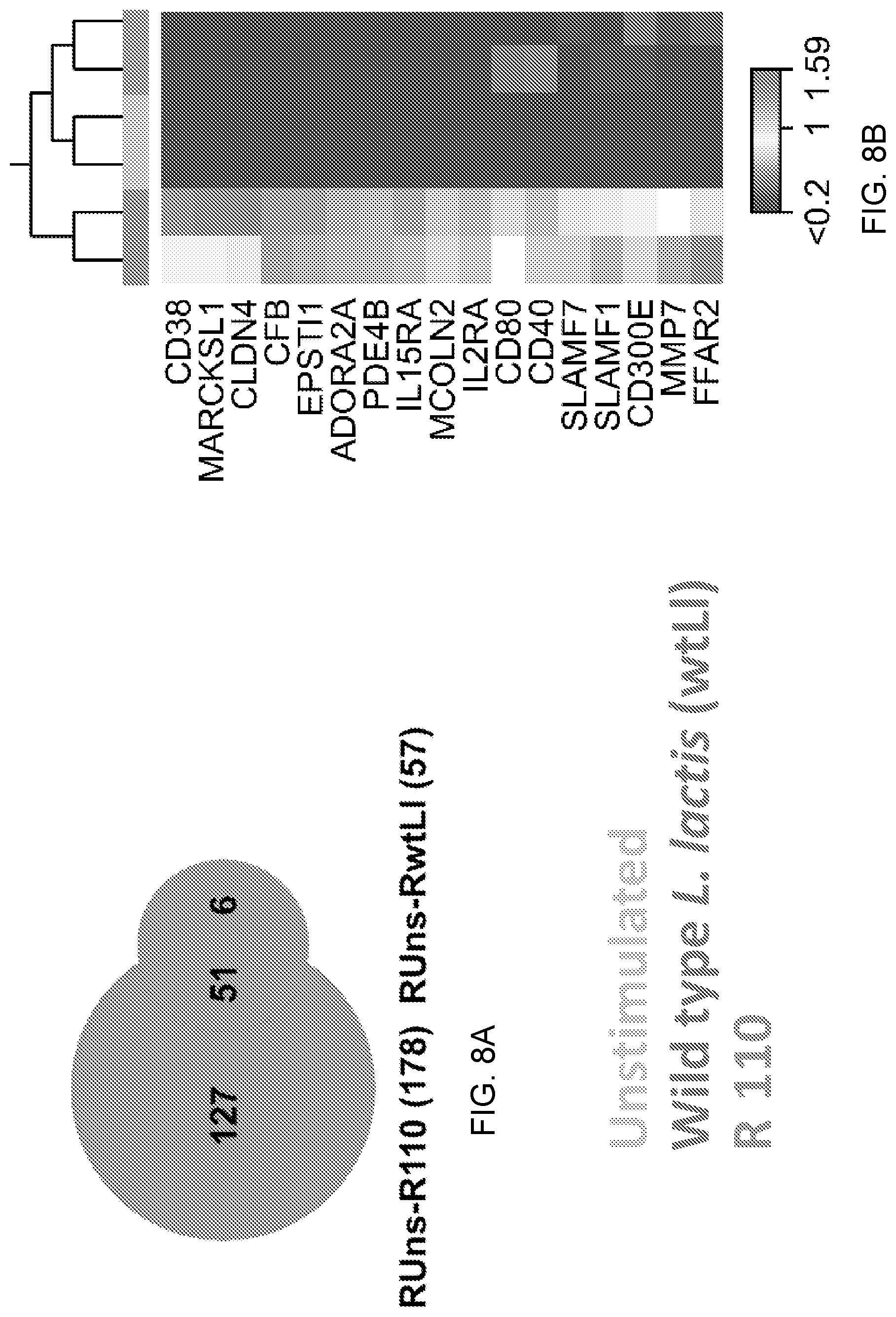 Patent US12098170 Figure 15 – Surface layer protein a (SlpA) as a therapeutic agent for the treatment of inflammatory diseases