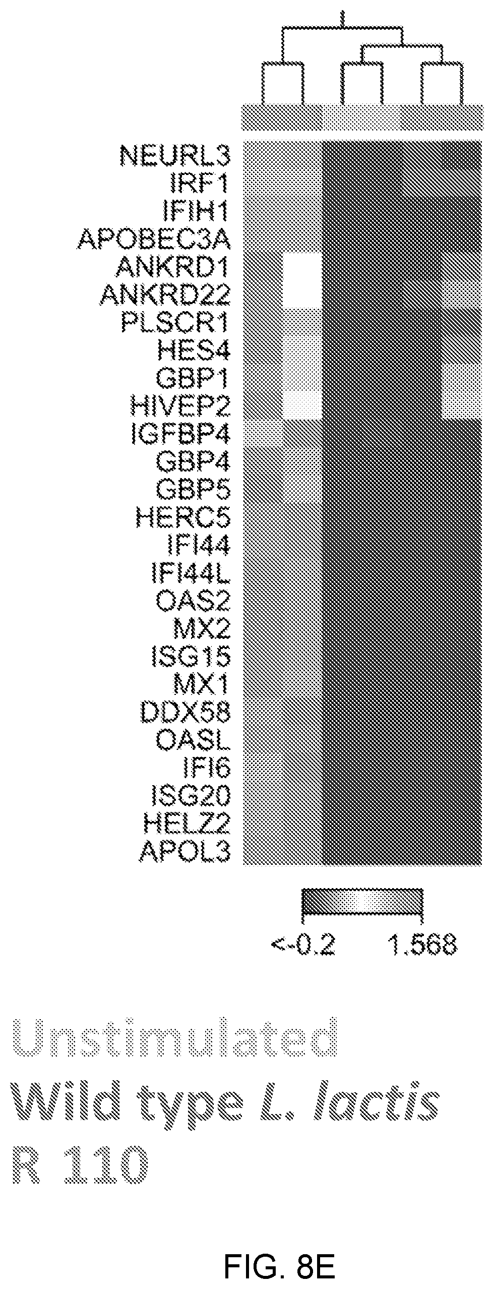 Patent US12098170 Figure 17 – Surface layer protein a (SlpA) as a therapeutic agent for the treatment of inflammatory diseases