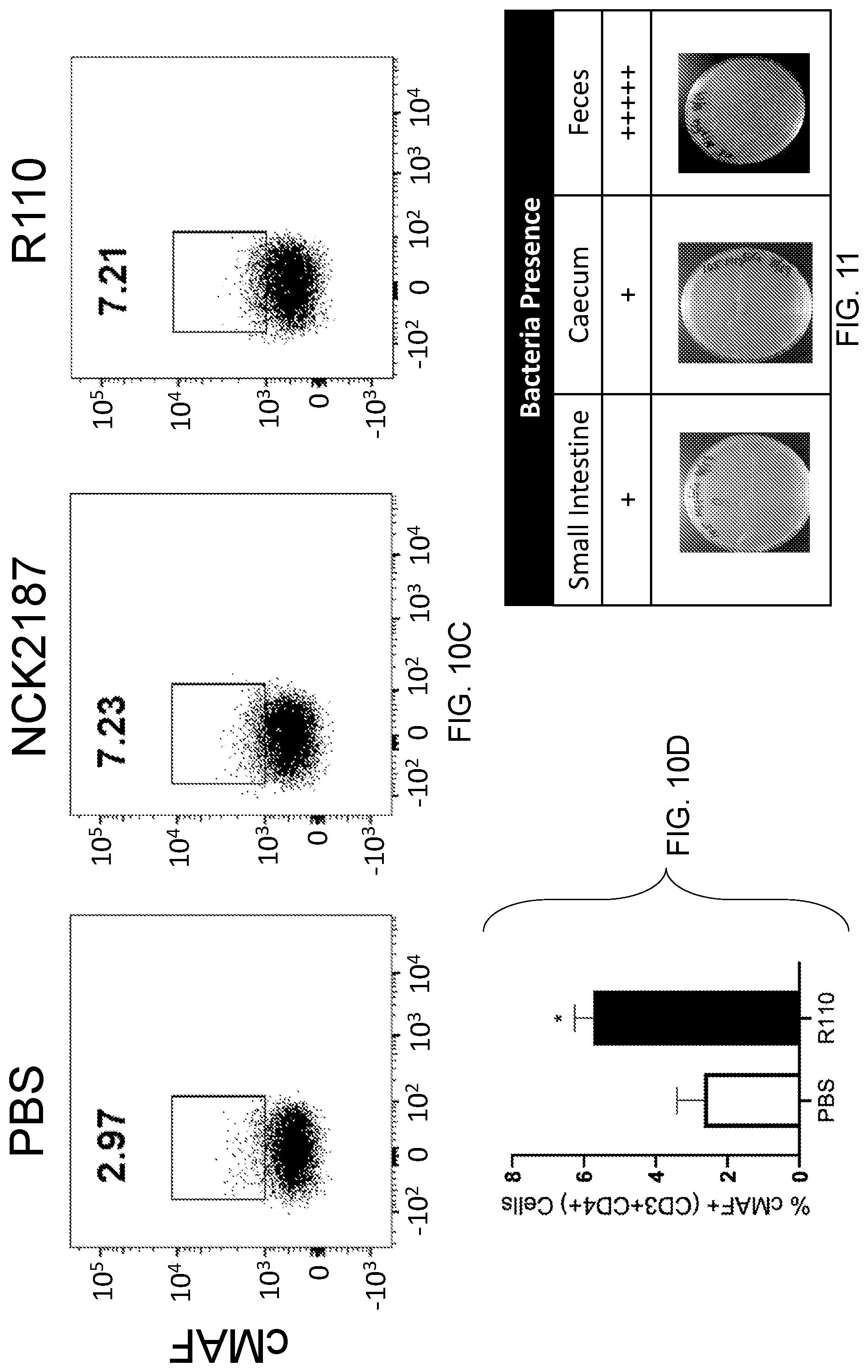 Patent US12098170 Figure 20 – Surface layer protein a (SlpA) as a therapeutic agent for the treatment of inflammatory diseases