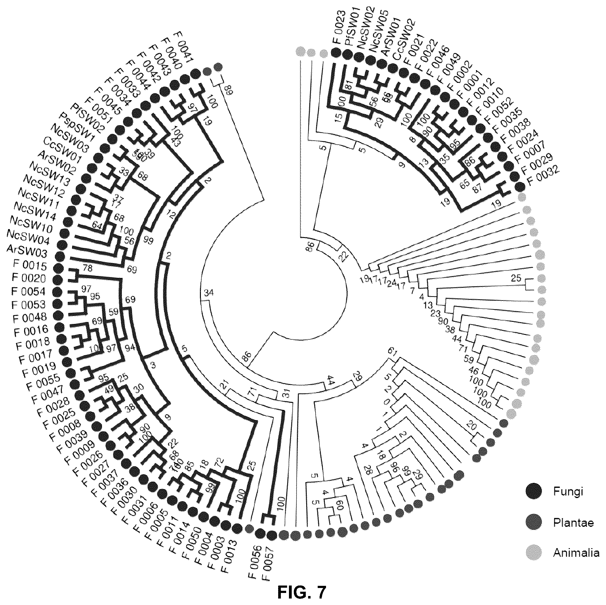 Patent US12098171 Figure 7 – Hybrid sugar transporters with altered sugar transport activity and uses thereof