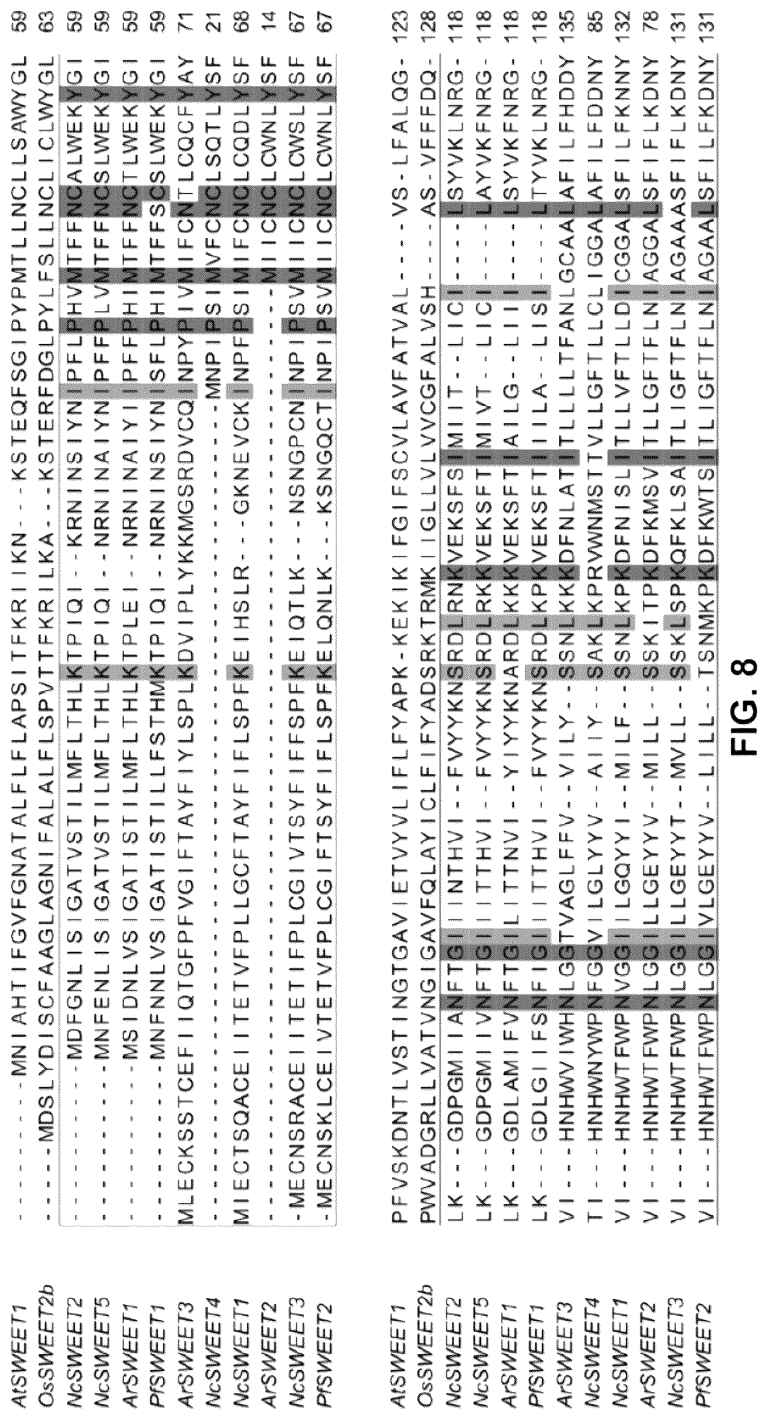 Patent US12098171 Figure 8 – Hybrid sugar transporters with altered sugar transport activity and uses thereof