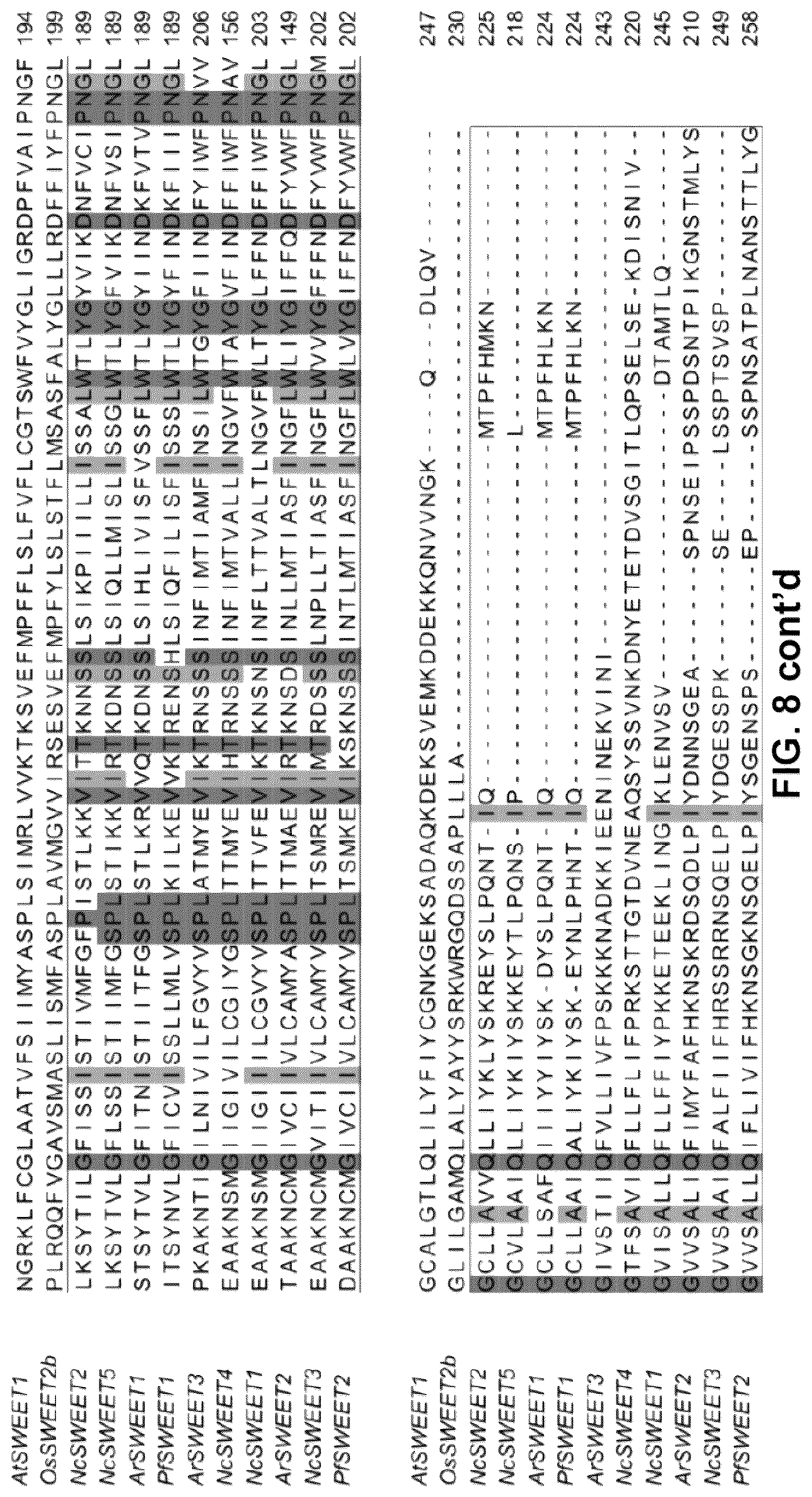 Patent US12098171 Figure 9 – Hybrid sugar transporters with altered sugar transport activity and uses thereof