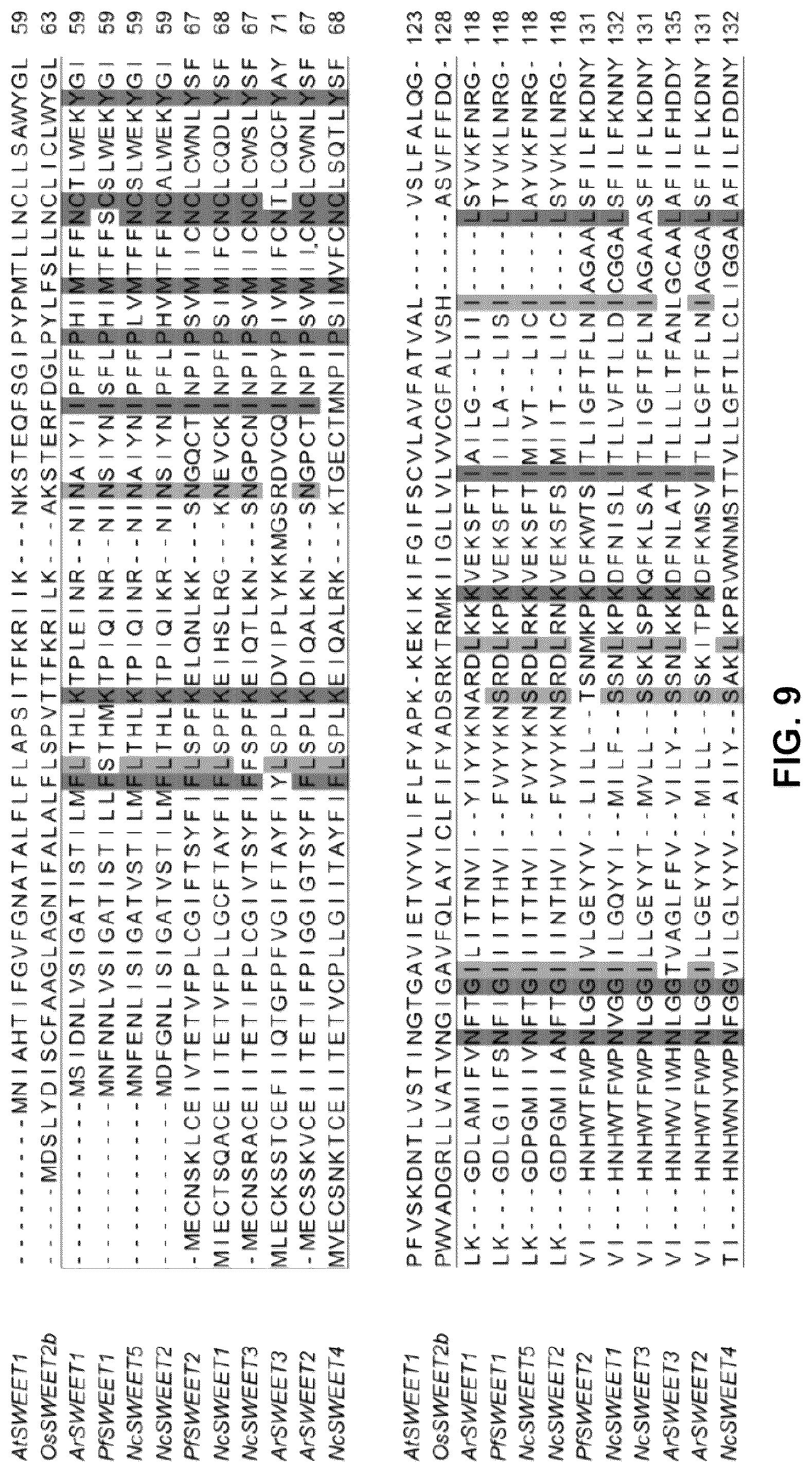 Patent US12098171 Figure 10 – Hybrid sugar transporters with altered sugar transport activity and uses thereof