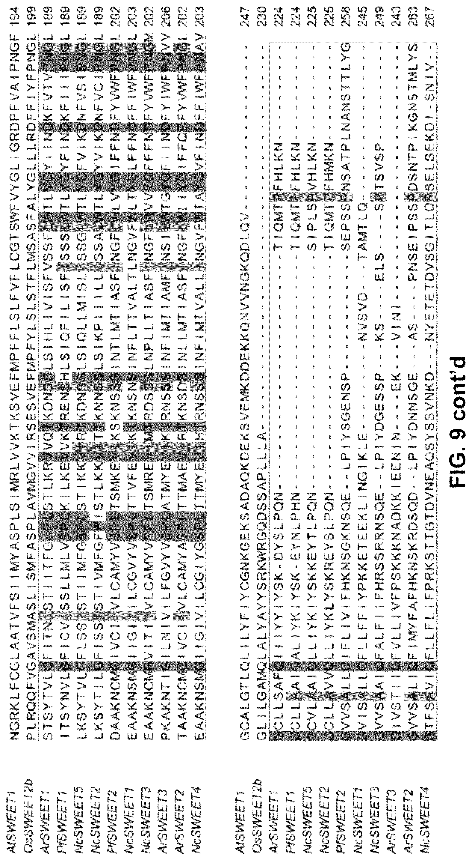Patent US12098171 Figure 11 – Hybrid sugar transporters with altered sugar transport activity and uses thereof