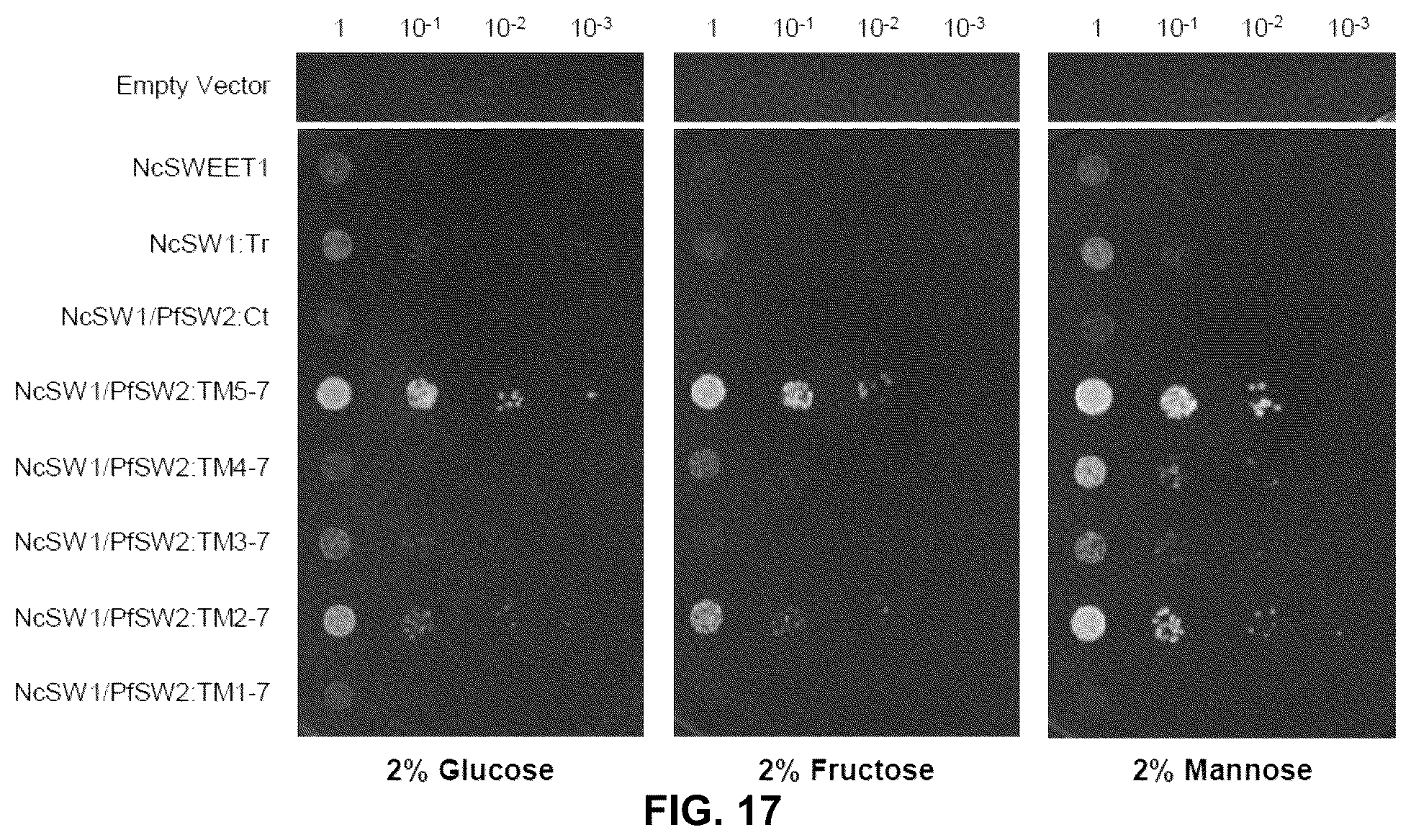 Patent US12098171 Figure 17 – Hybrid sugar transporters with altered sugar transport activity and uses thereof