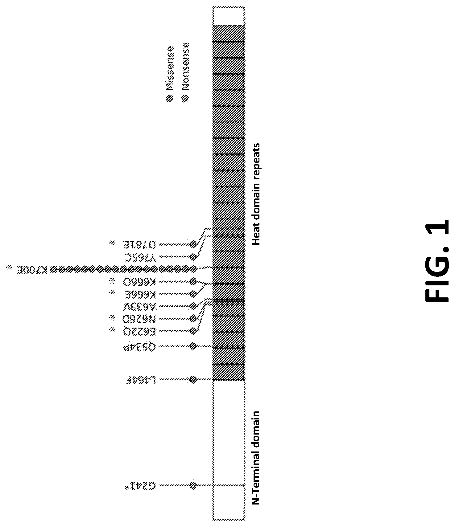 Patent US12098172 Figure 1 – Compositions and methods for targeting MASAs to treat cancers with spliceosome mutations