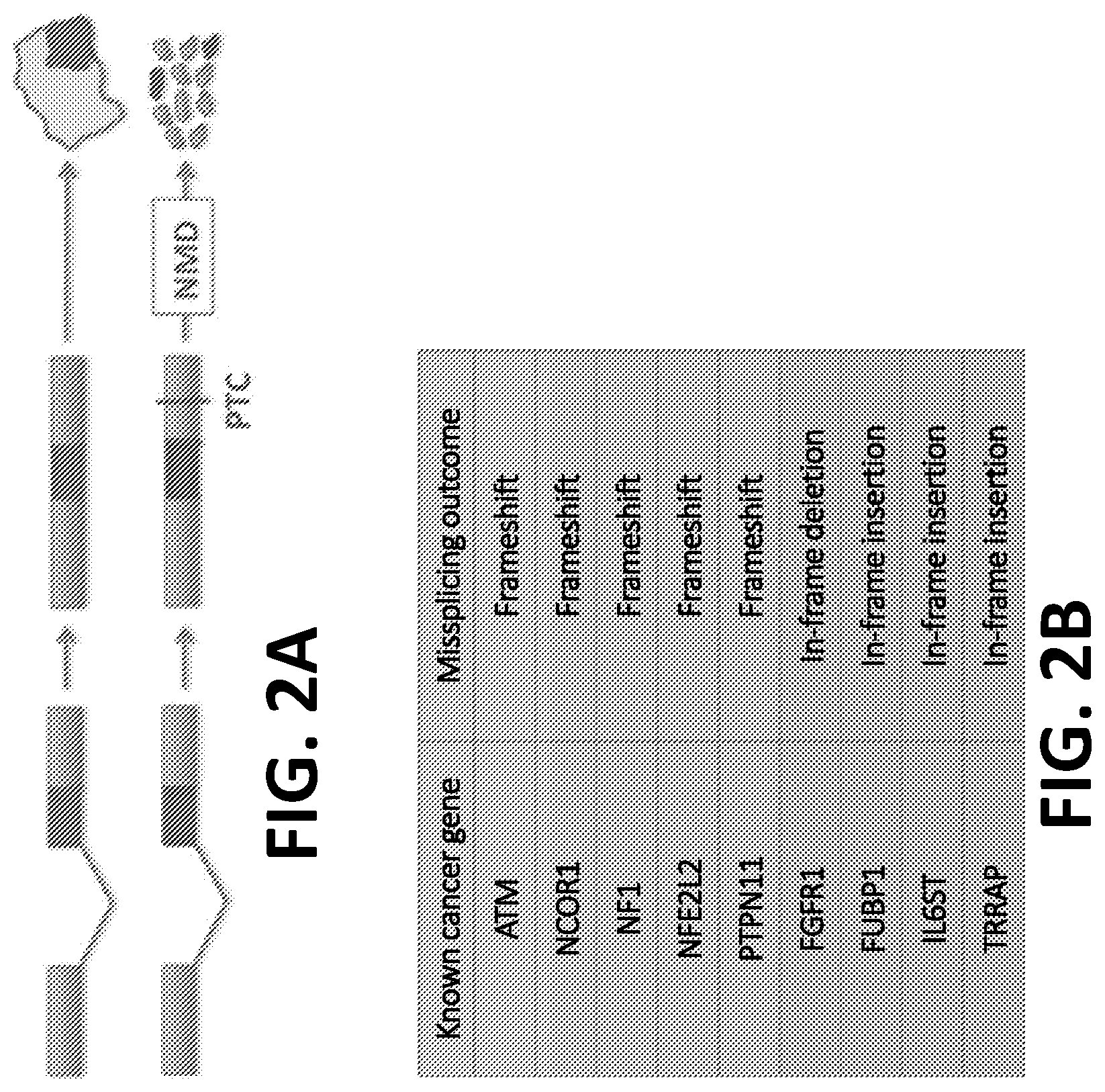 Patent US12098172 Figure 2 – Compositions and methods for targeting MASAs to treat cancers with spliceosome mutations