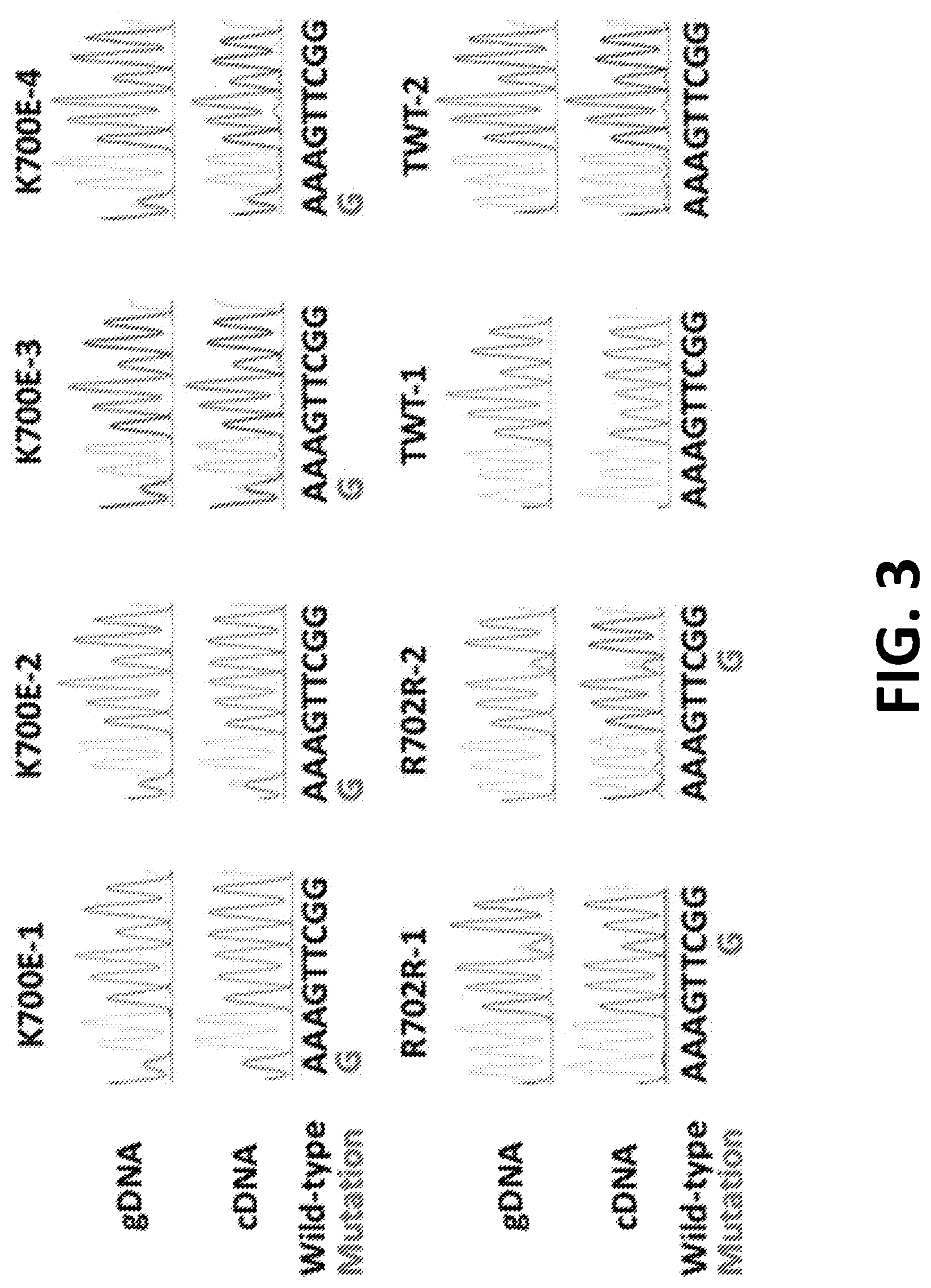 Patent US12098172 Figure 3 – Compositions and methods for targeting MASAs to treat cancers with spliceosome mutations