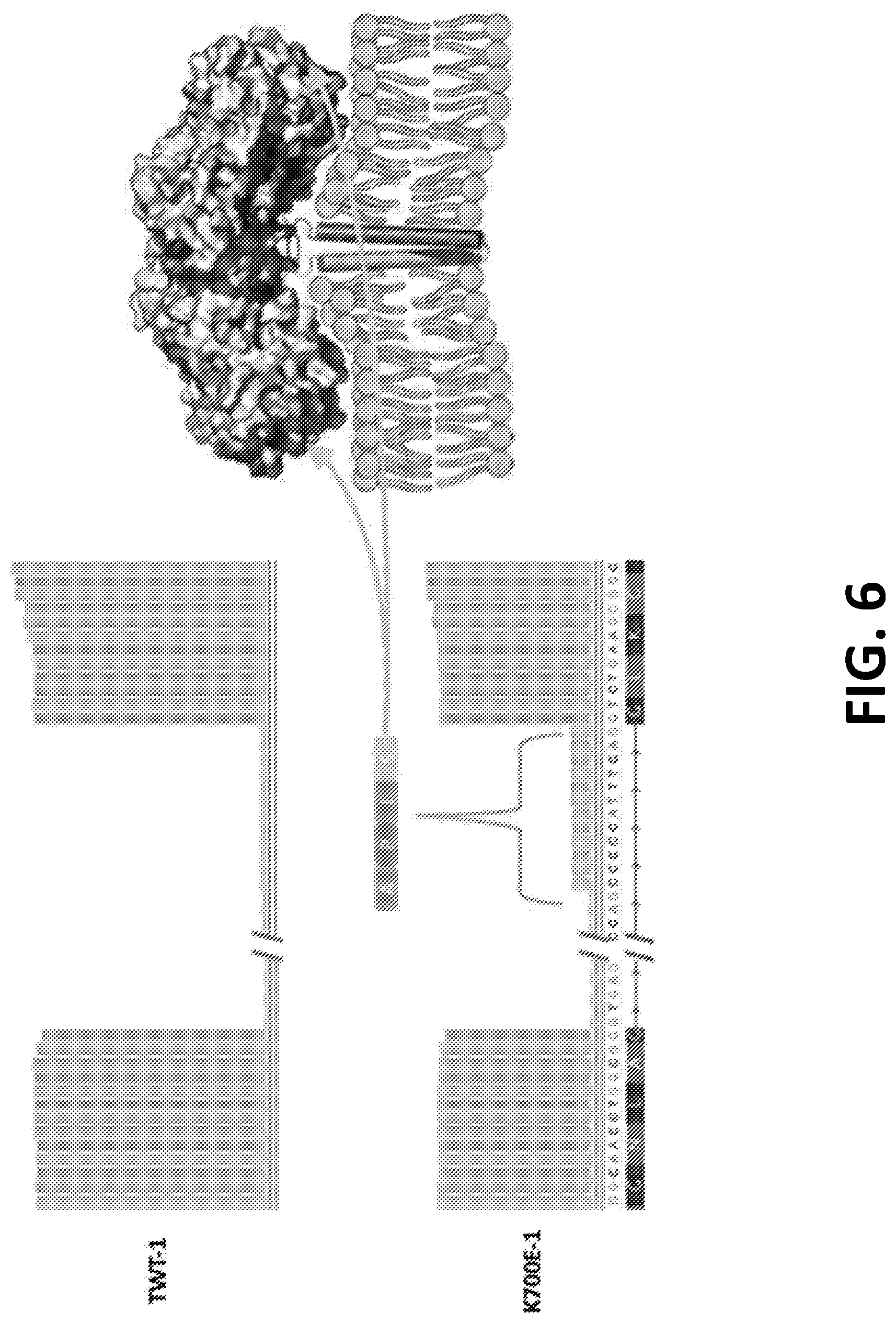 Patent US12098172 Figure 7 – Compositions and methods for targeting MASAs to treat cancers with spliceosome mutations