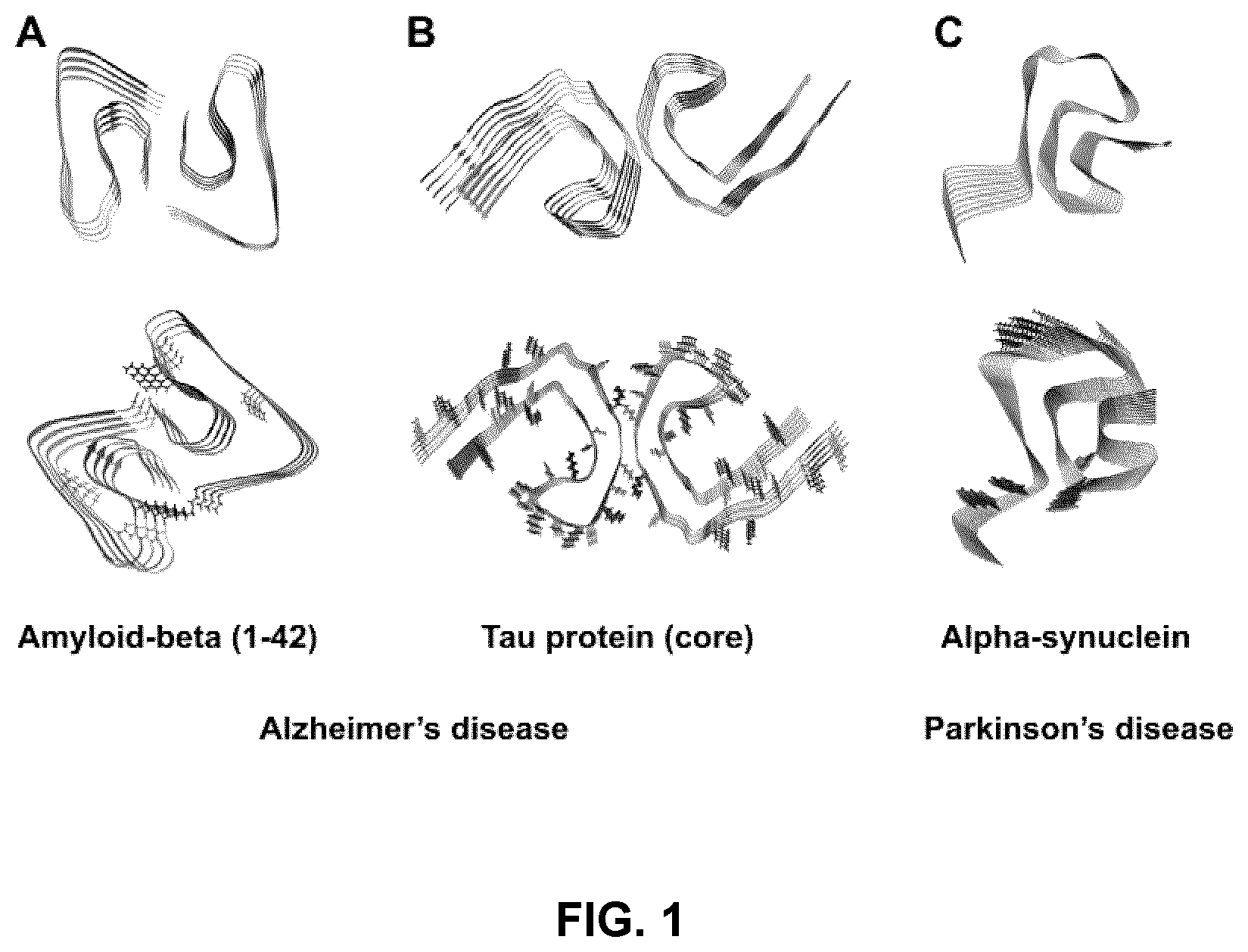 Patent US12098173 Figure 1 – Innocuous, structured scaffolds for structure-based amyloid disease vaccines and antigens