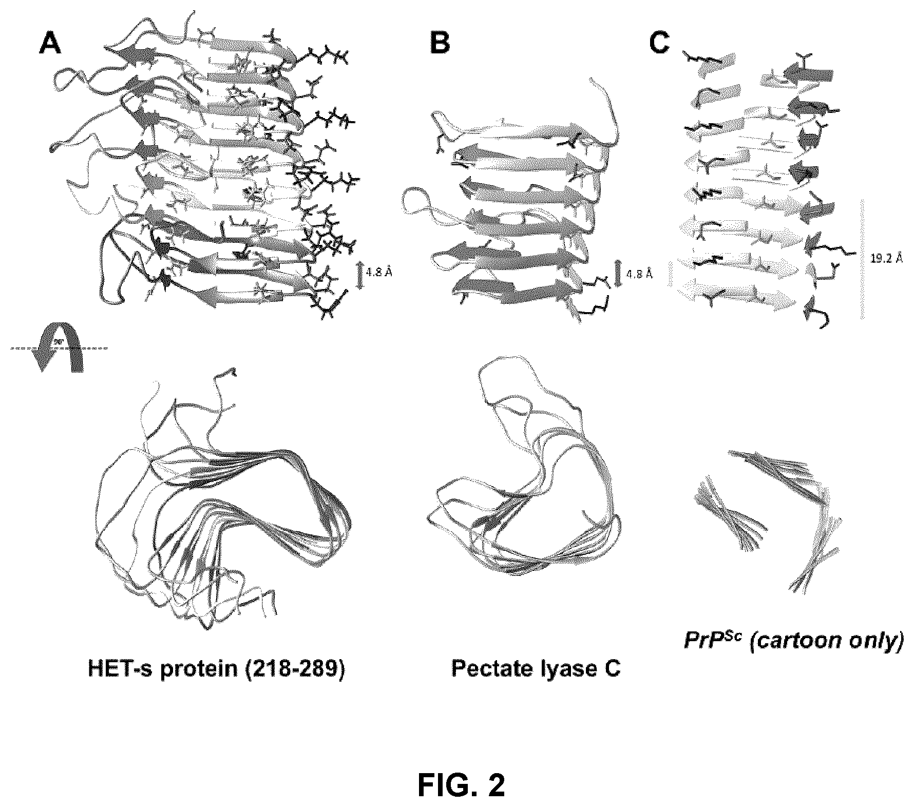 Patent US12098173 Figure 2 – Innocuous, structured scaffolds for structure-based amyloid disease vaccines and antigens