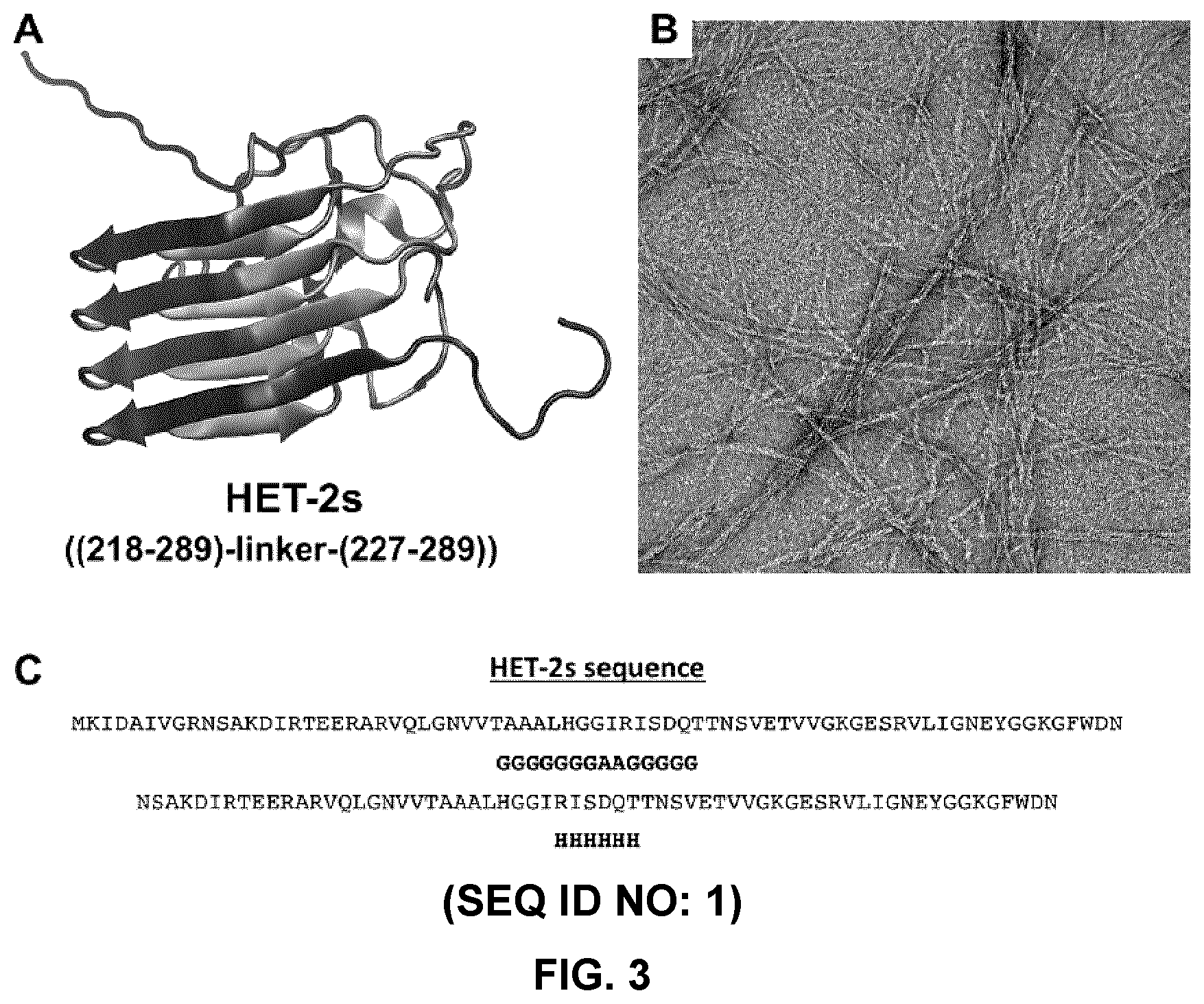 Patent US12098173 Figure 3 – Innocuous, structured scaffolds for structure-based amyloid disease vaccines and antigens