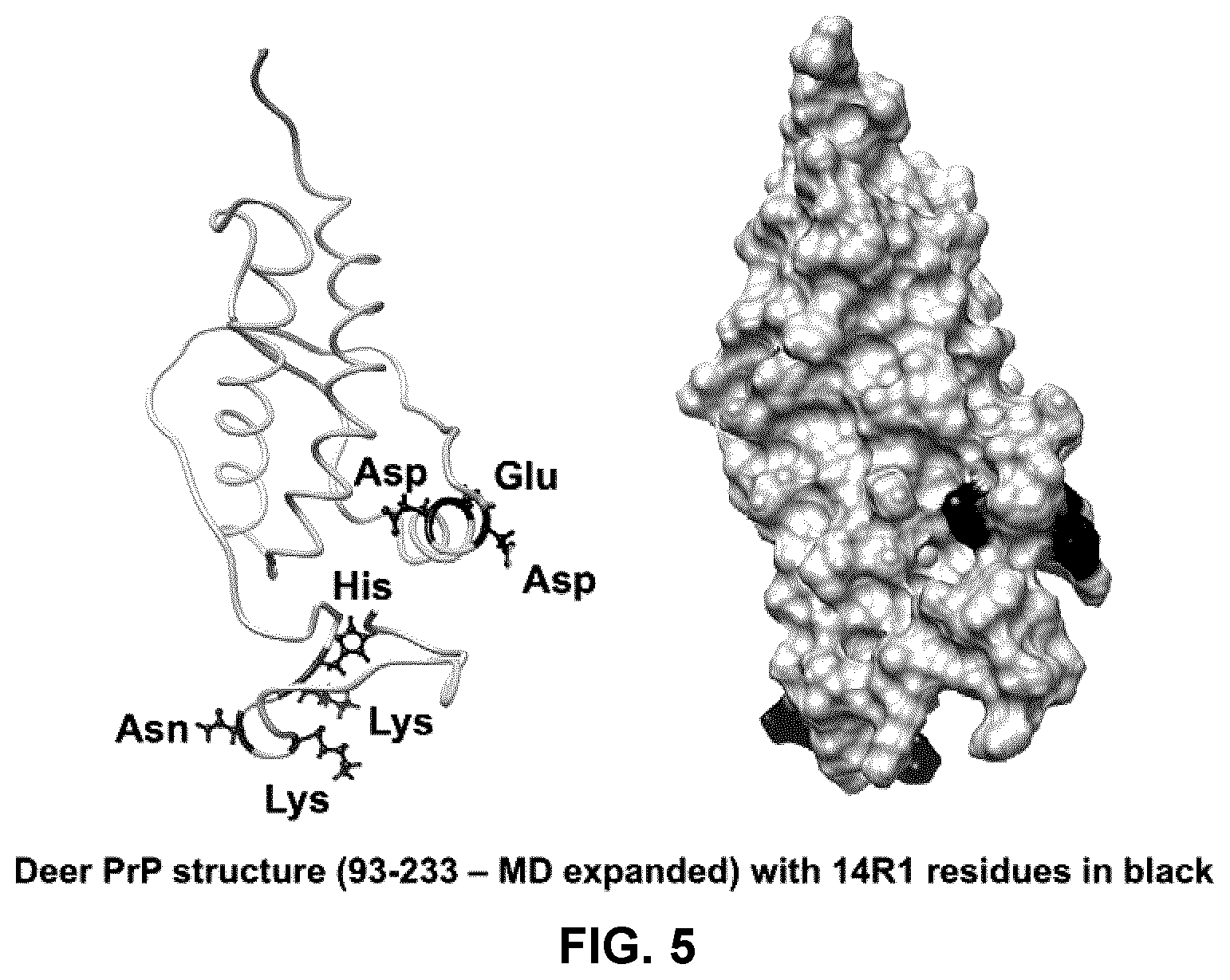 Patent US12098173 Figure 5 – Innocuous, structured scaffolds for structure-based amyloid disease vaccines and antigens