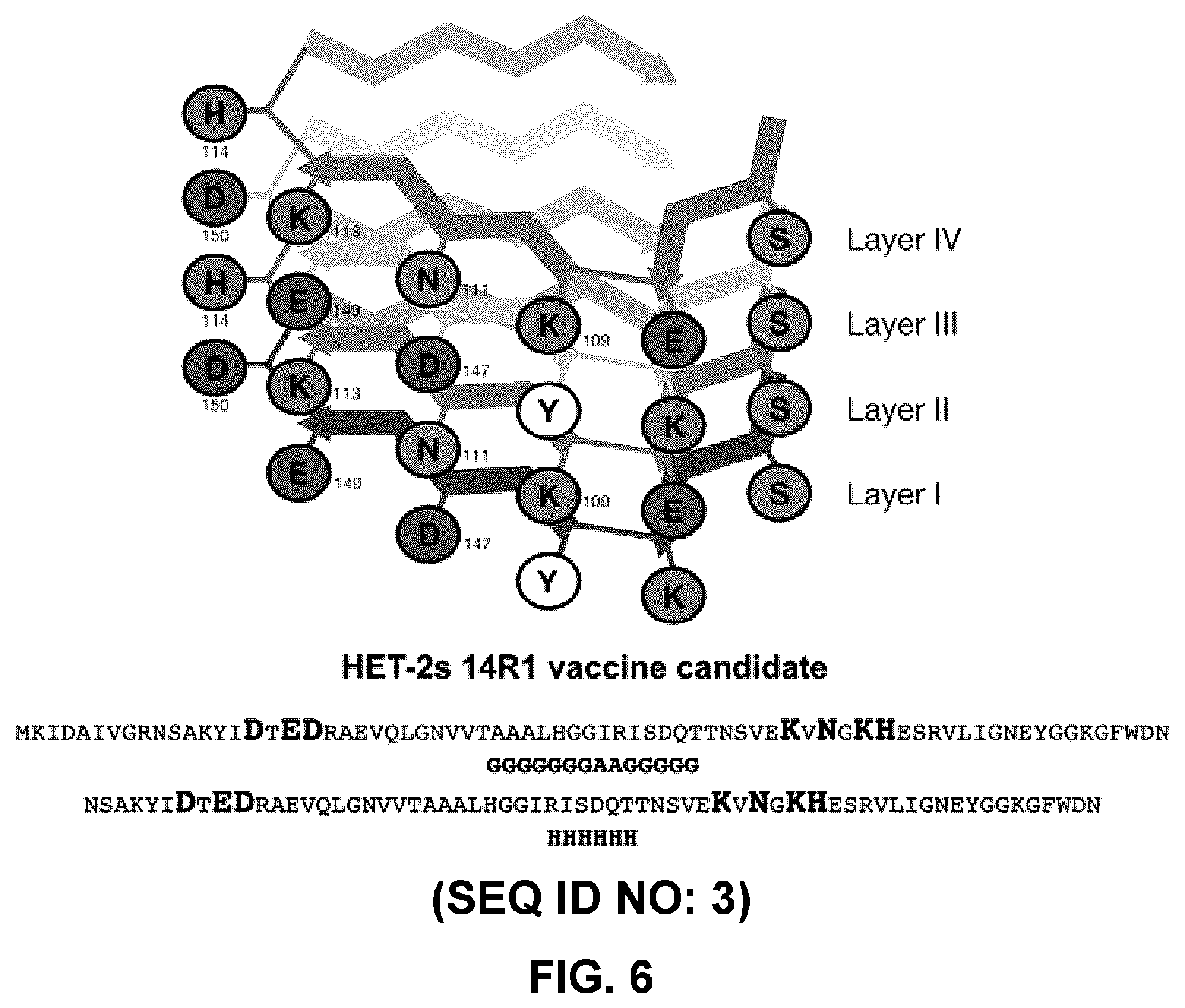 Patent US12098173 Figure 6 – Innocuous, structured scaffolds for structure-based amyloid disease vaccines and antigens