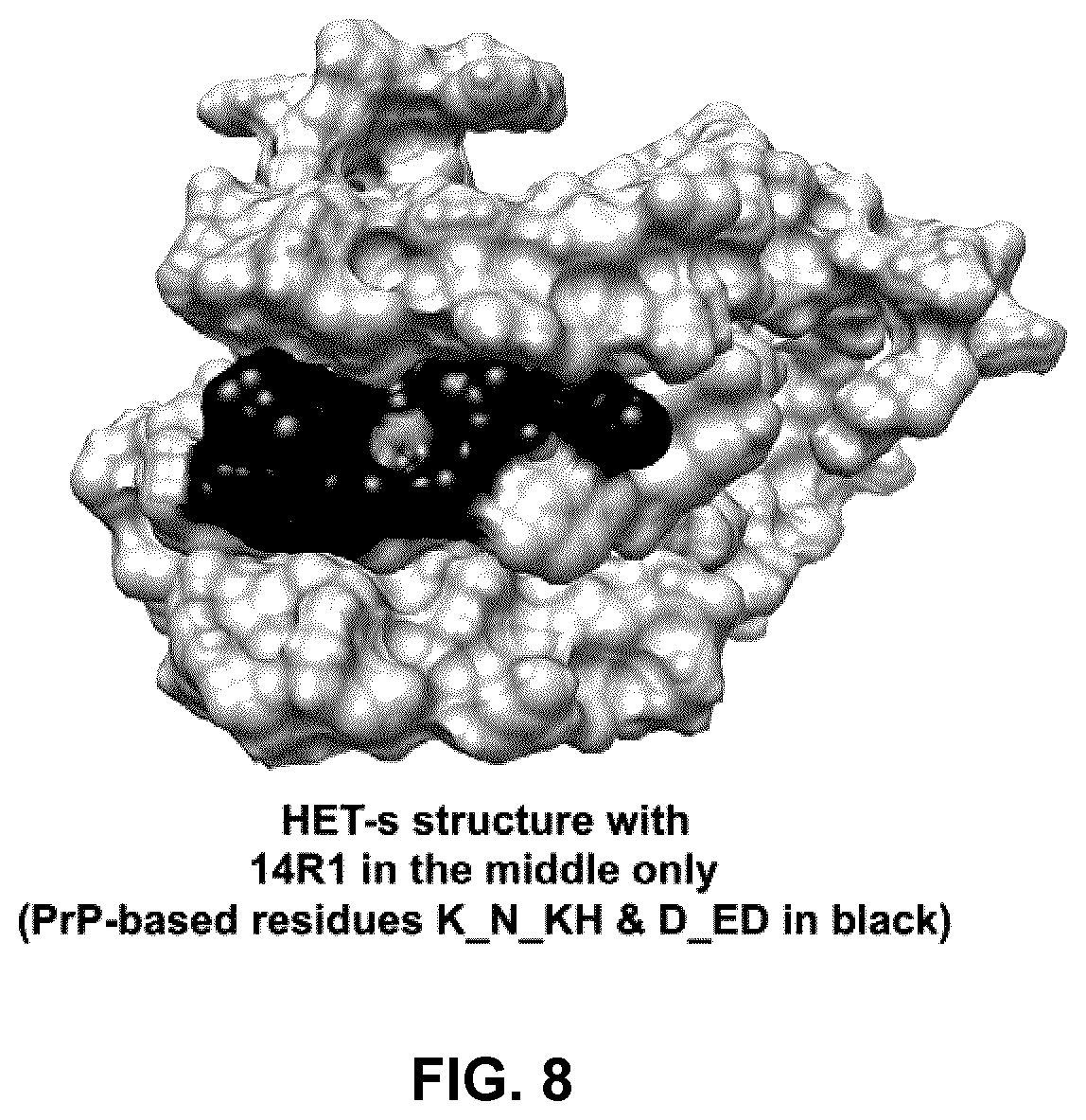 Patent US12098173 Figure 8 – Innocuous, structured scaffolds for structure-based amyloid disease vaccines and antigens