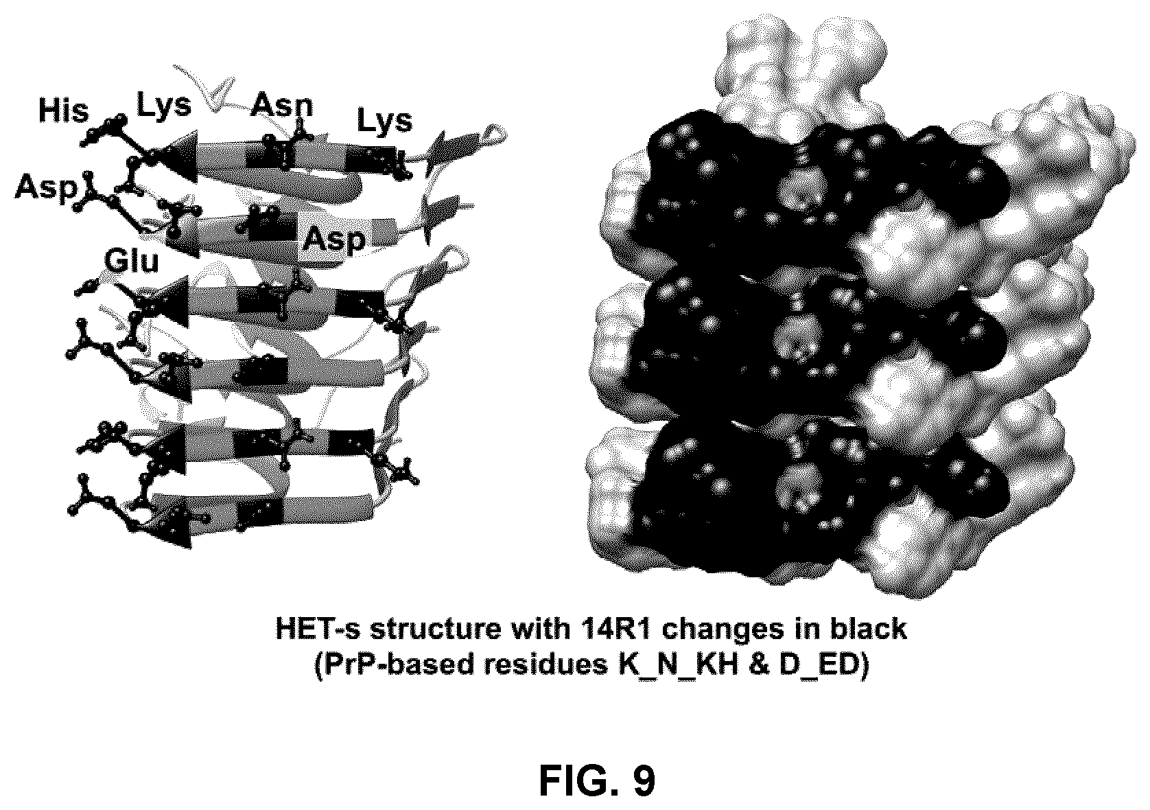 Patent US12098173 Figure 9 – Innocuous, structured scaffolds for structure-based amyloid disease vaccines and antigens