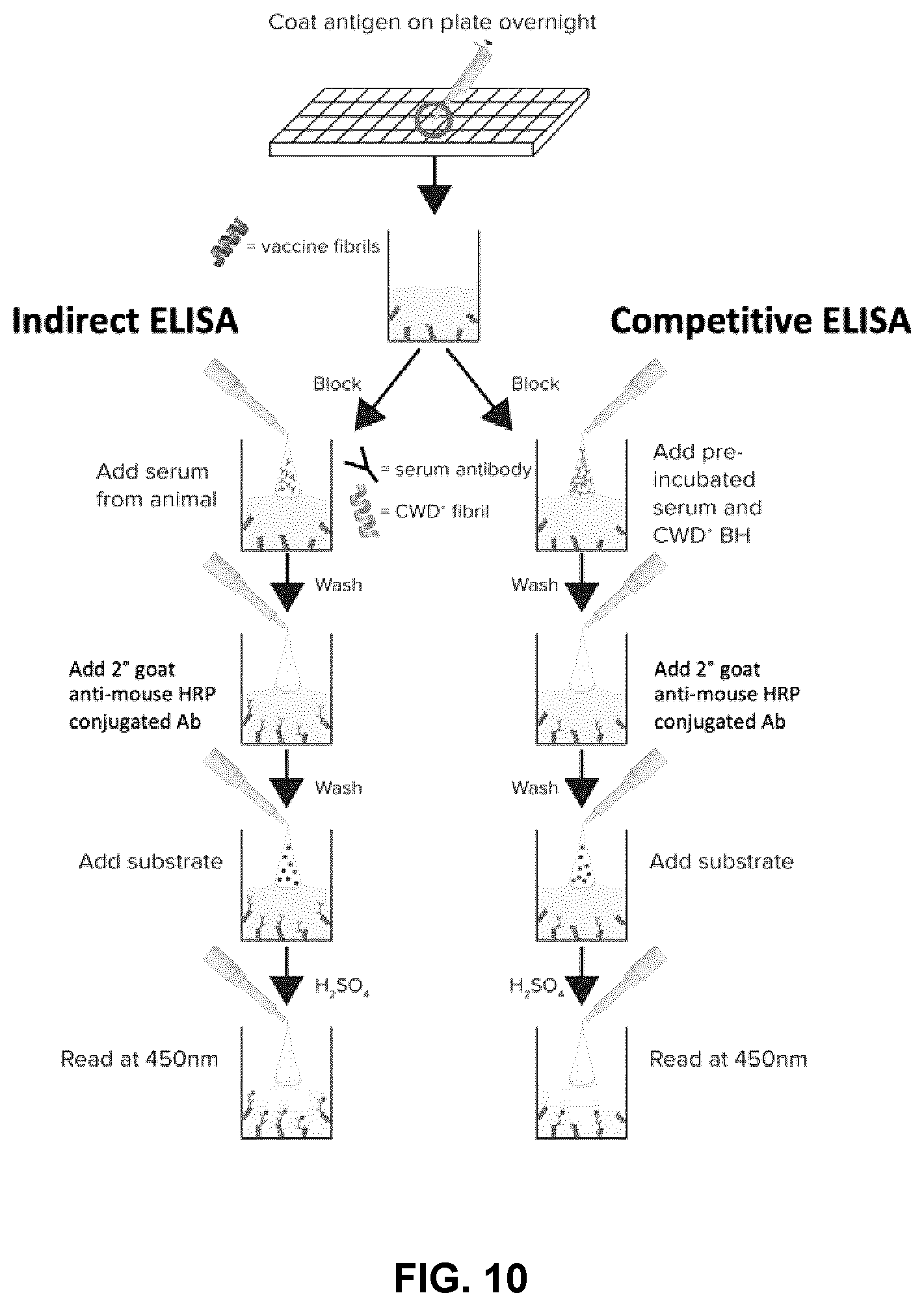 Patent US12098173 Figure 10 – Innocuous, structured scaffolds for structure-based amyloid disease vaccines and antigens