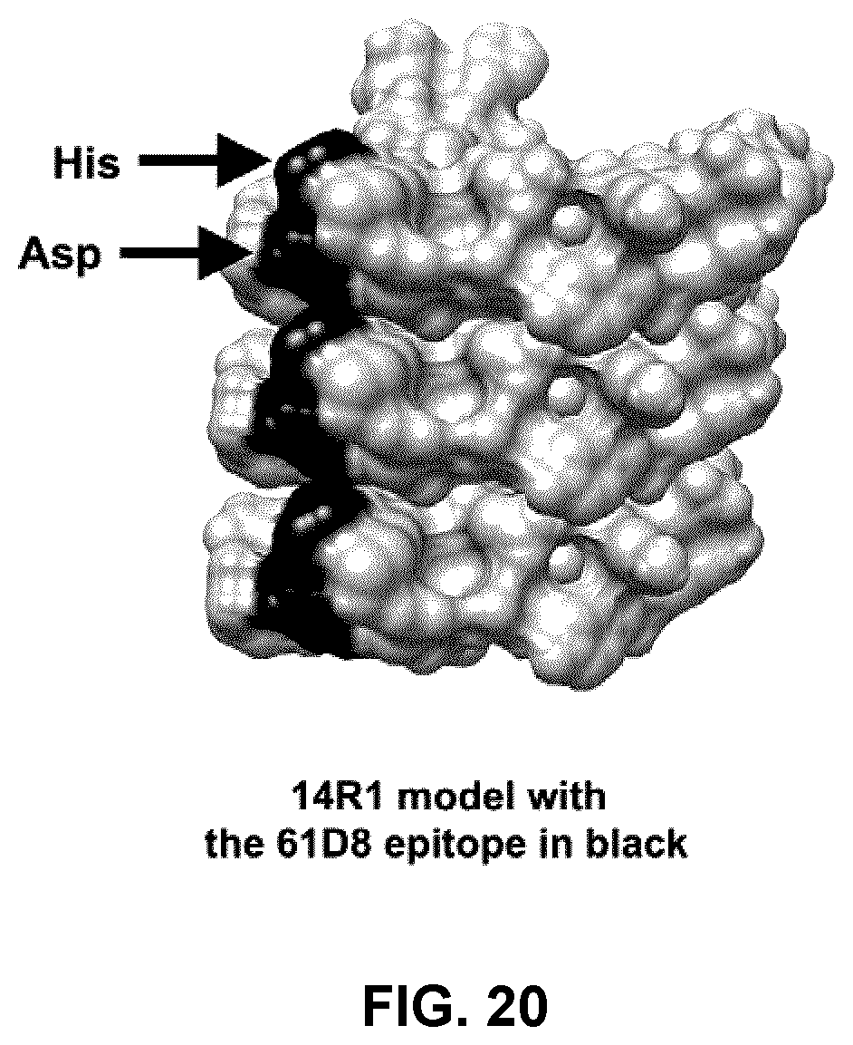 Patent US12098173 Figure 20 – Innocuous, structured scaffolds for structure-based amyloid disease vaccines and antigens
