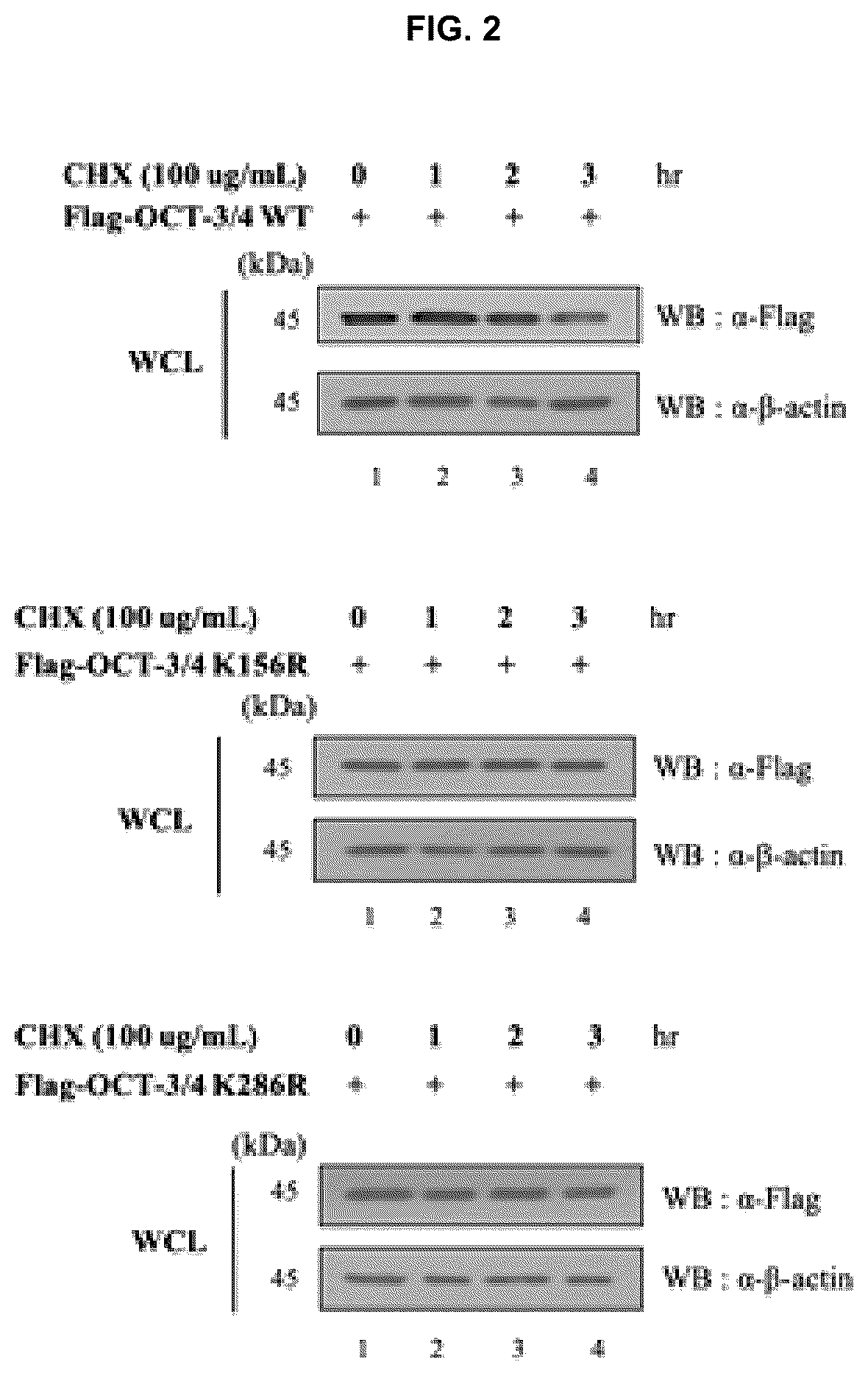 Patent US12098174 Figure 2 – Oct-3/4 variant