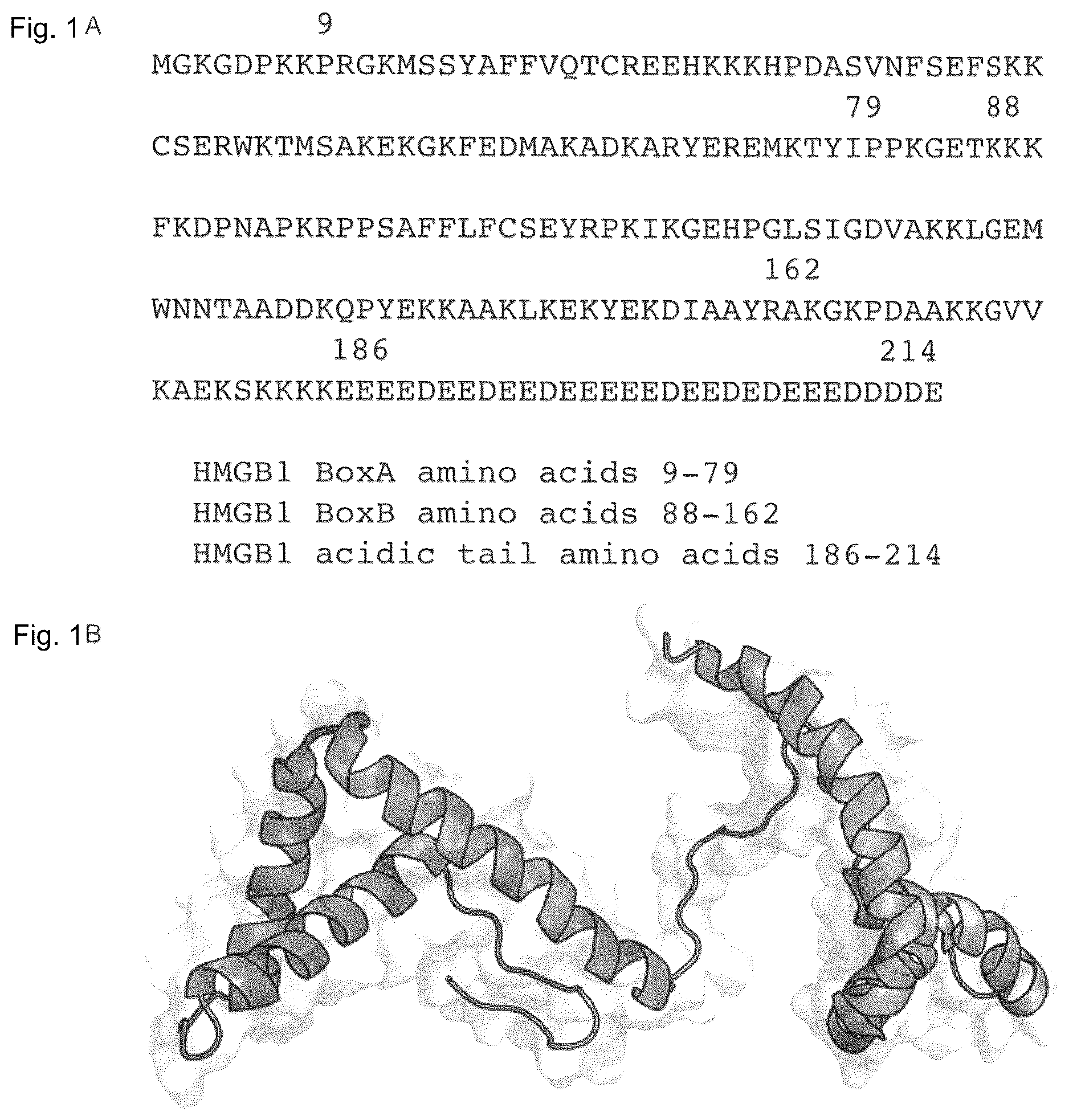Patent US12098175 Figure 1 – Peptide inhibitors targeting the CXCL12/HMGB1 interaction and uses thereof