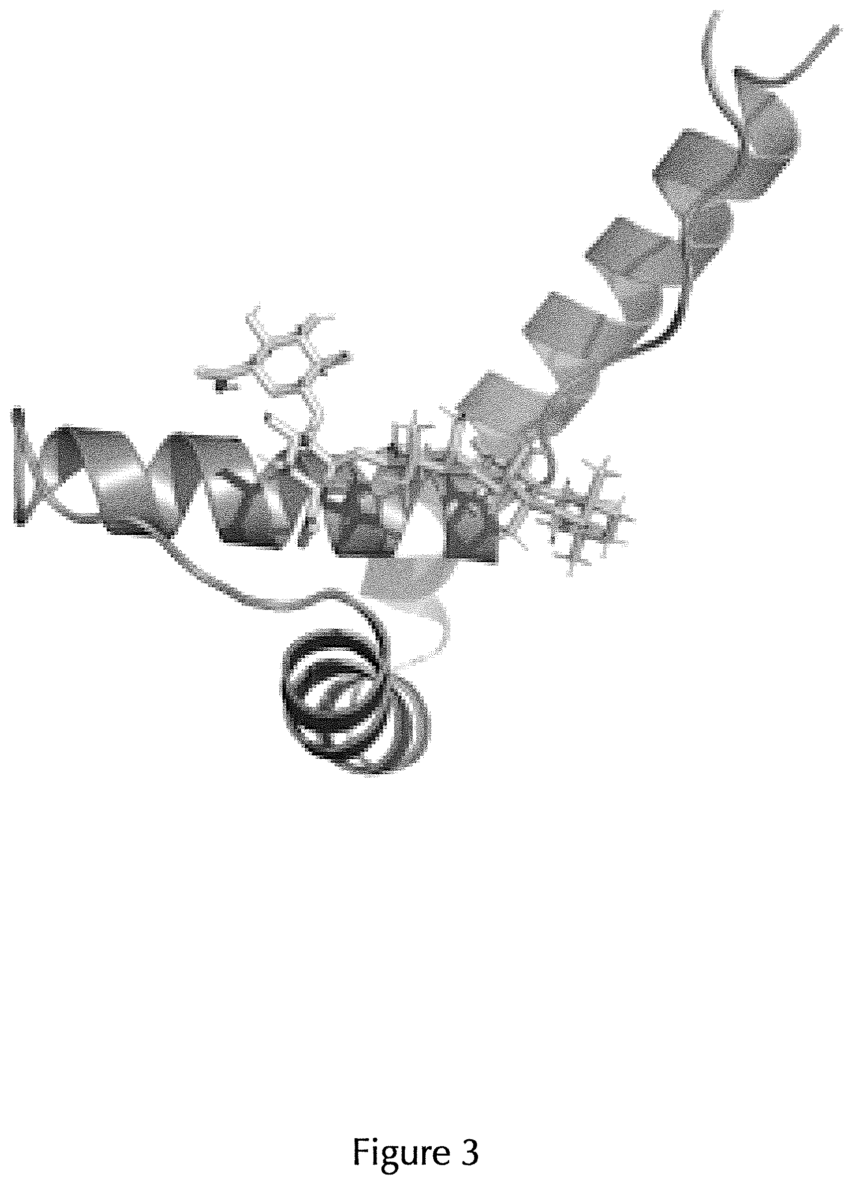 Patent US12098175 Figure 3 – Peptide inhibitors targeting the CXCL12/HMGB1 interaction and uses thereof