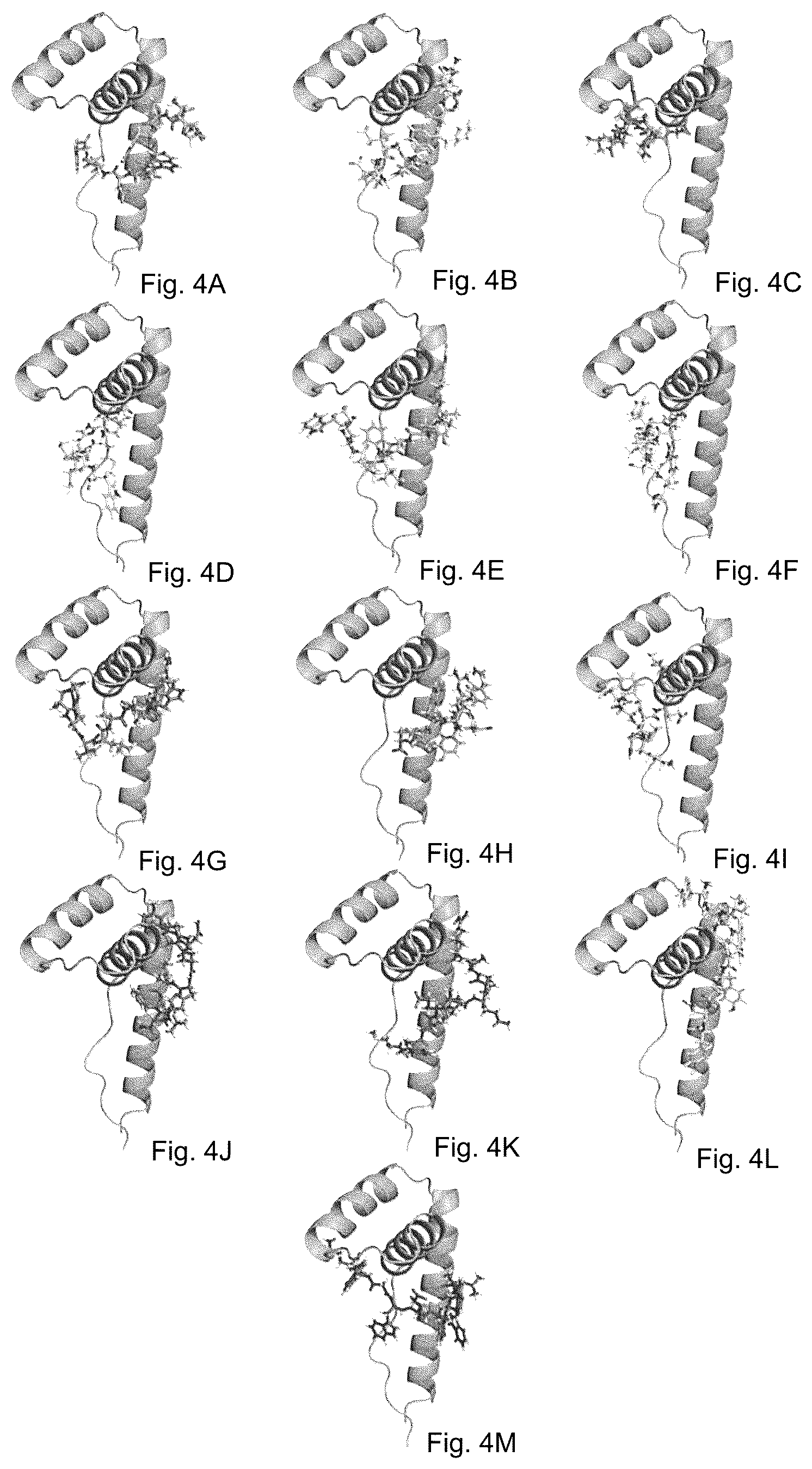 Patent US12098175 Figure 4 – Peptide inhibitors targeting the CXCL12/HMGB1 interaction and uses thereof