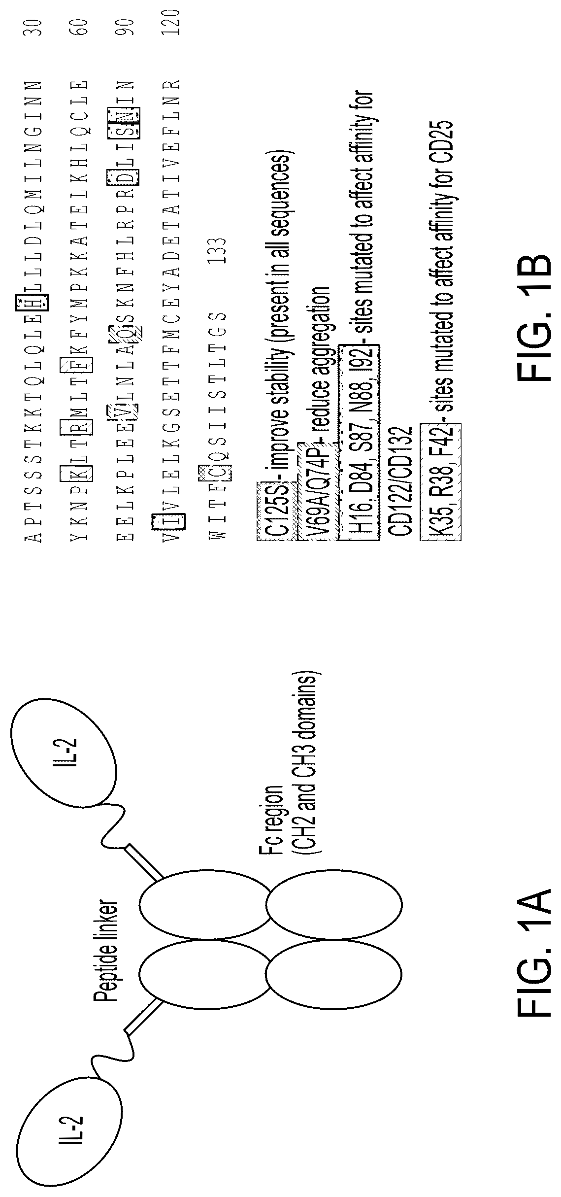 Patent US12098178 Figure 1 – Methods of using interleukin-2 agents