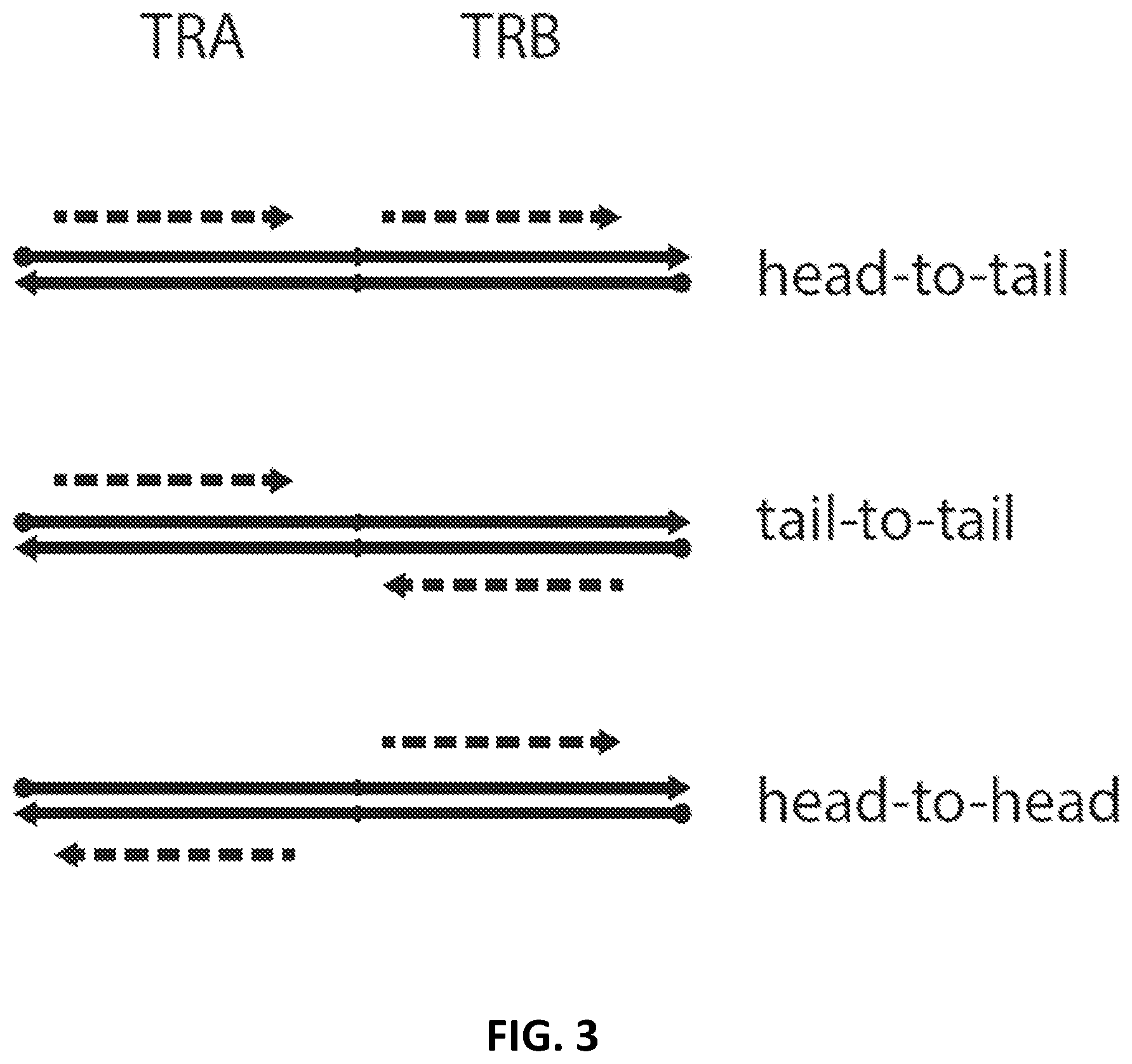 Patent US12098181 Figure 3 – High throughput cloning of paired bipartite immunoreceptor polynucleotides and applications thereof
