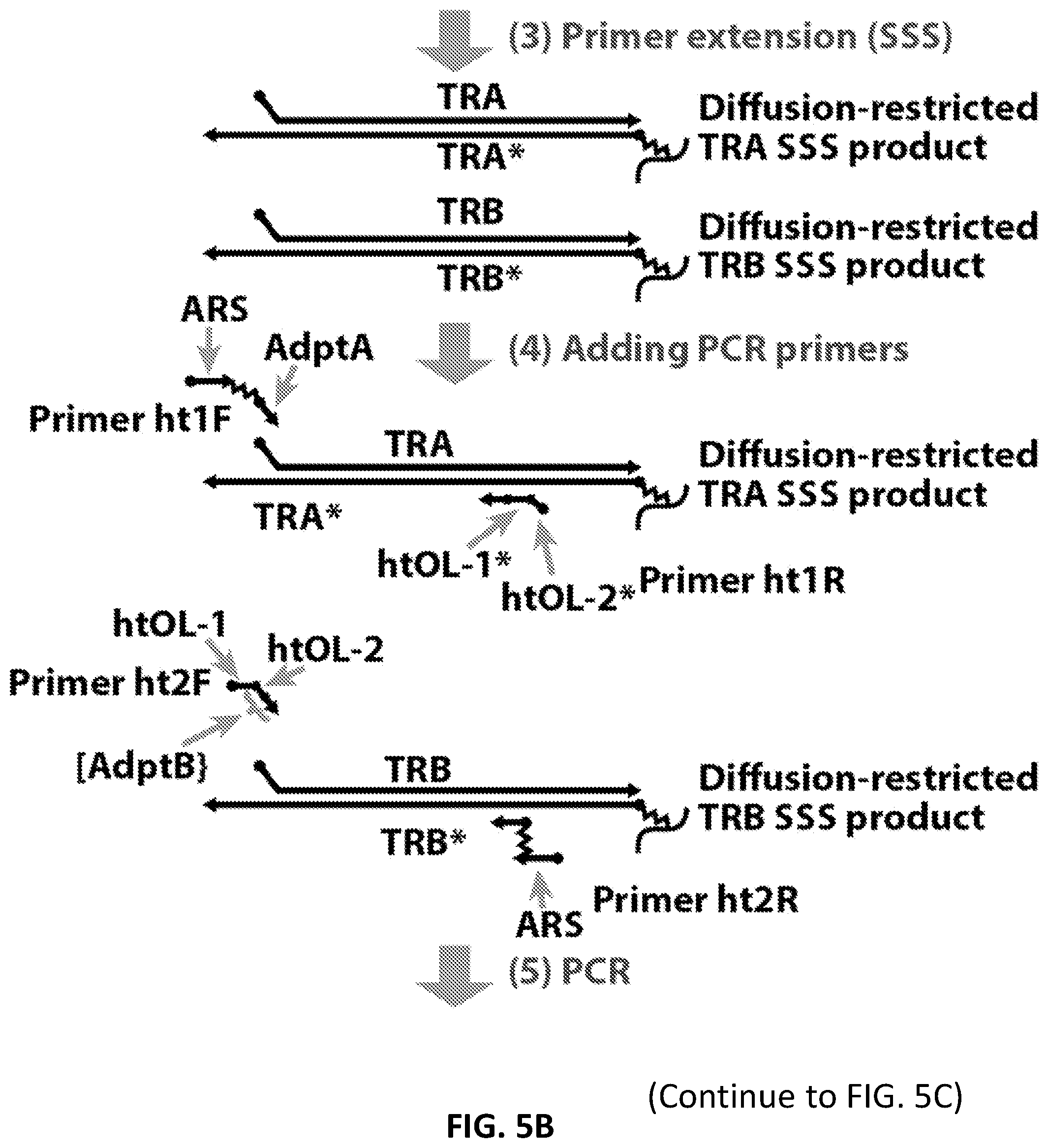 Patent US12098181 Figure 7 – High throughput cloning of paired bipartite immunoreceptor polynucleotides and applications thereof