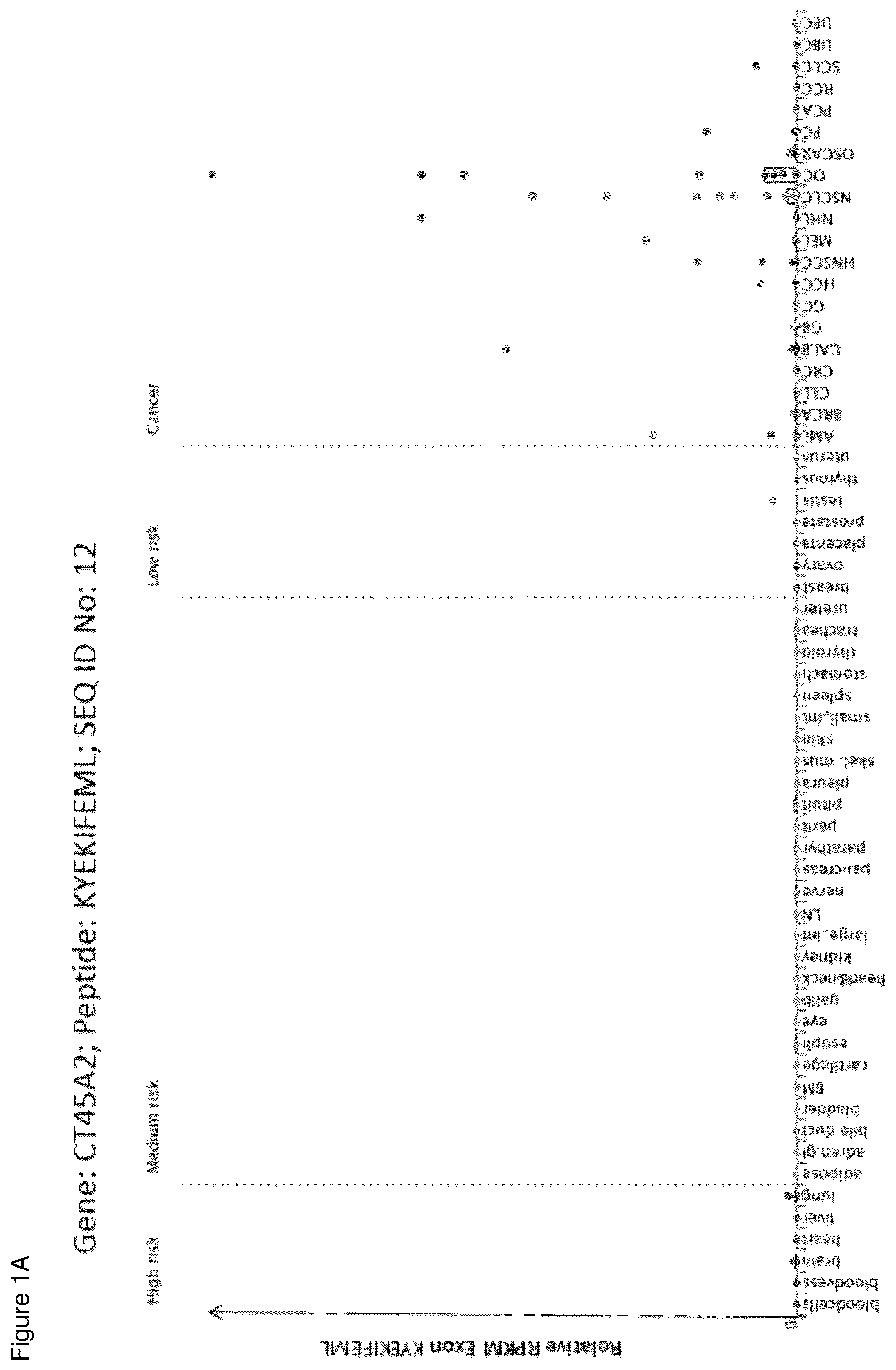 Patent US12098183 Figure 1 – Peptides and combination of peptides for use in immunotherapy against ovarian cancer and other cancers