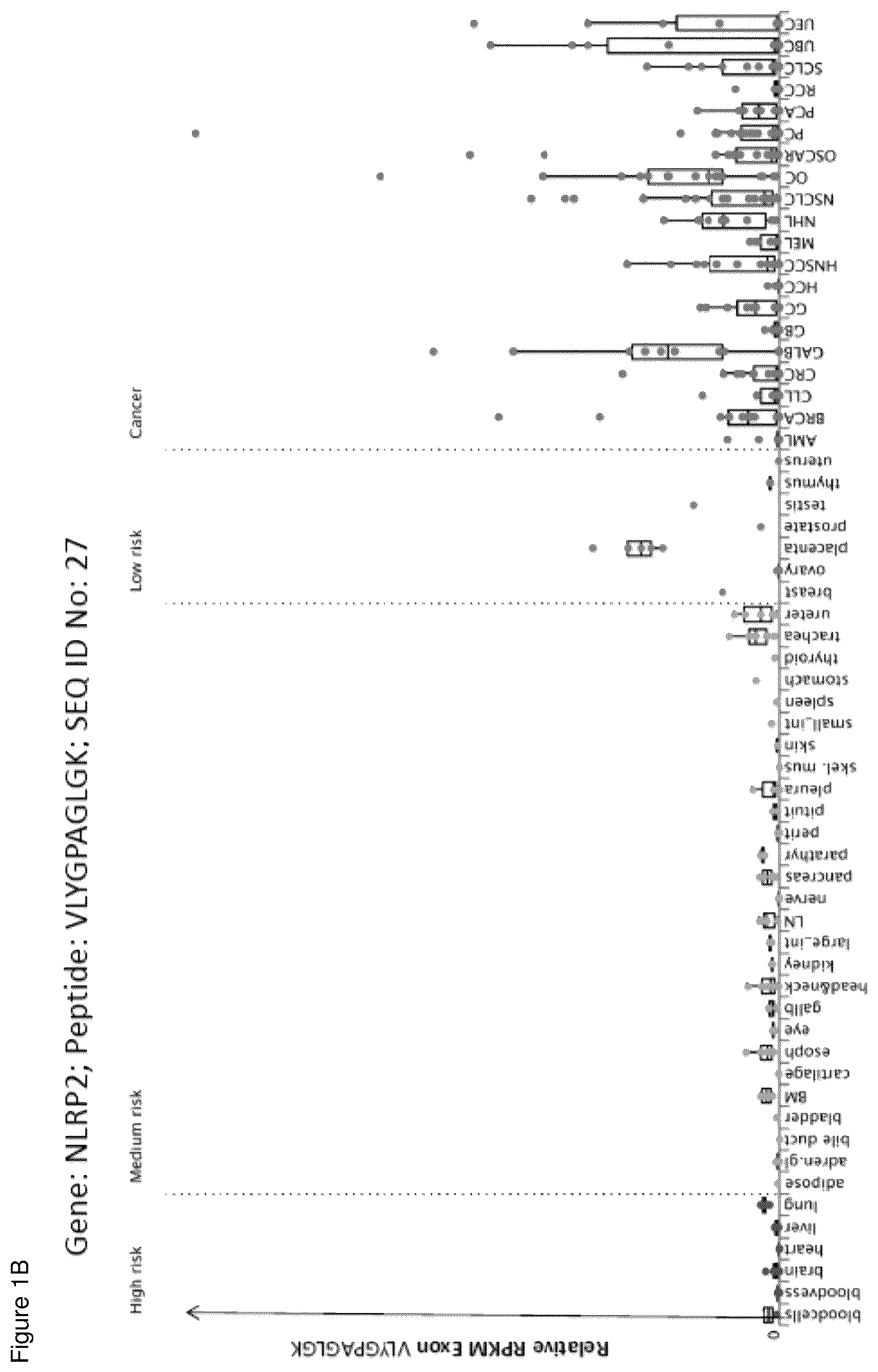 Patent US12098183 Figure 2 – Peptides and combination of peptides for use in immunotherapy against ovarian cancer and other cancers