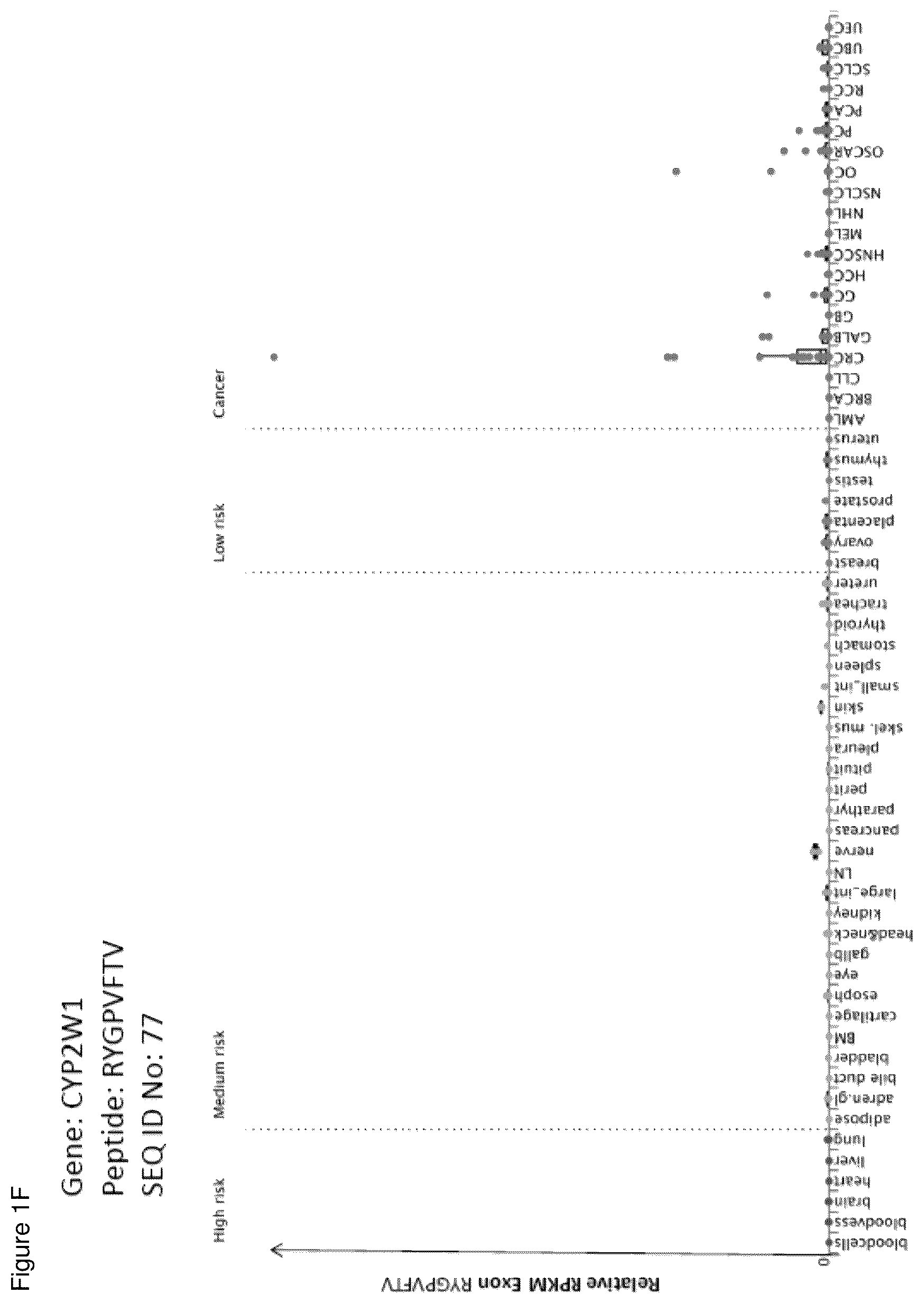 Patent US12098183 Figure 6 – Peptides and combination of peptides for use in immunotherapy against ovarian cancer and other cancers