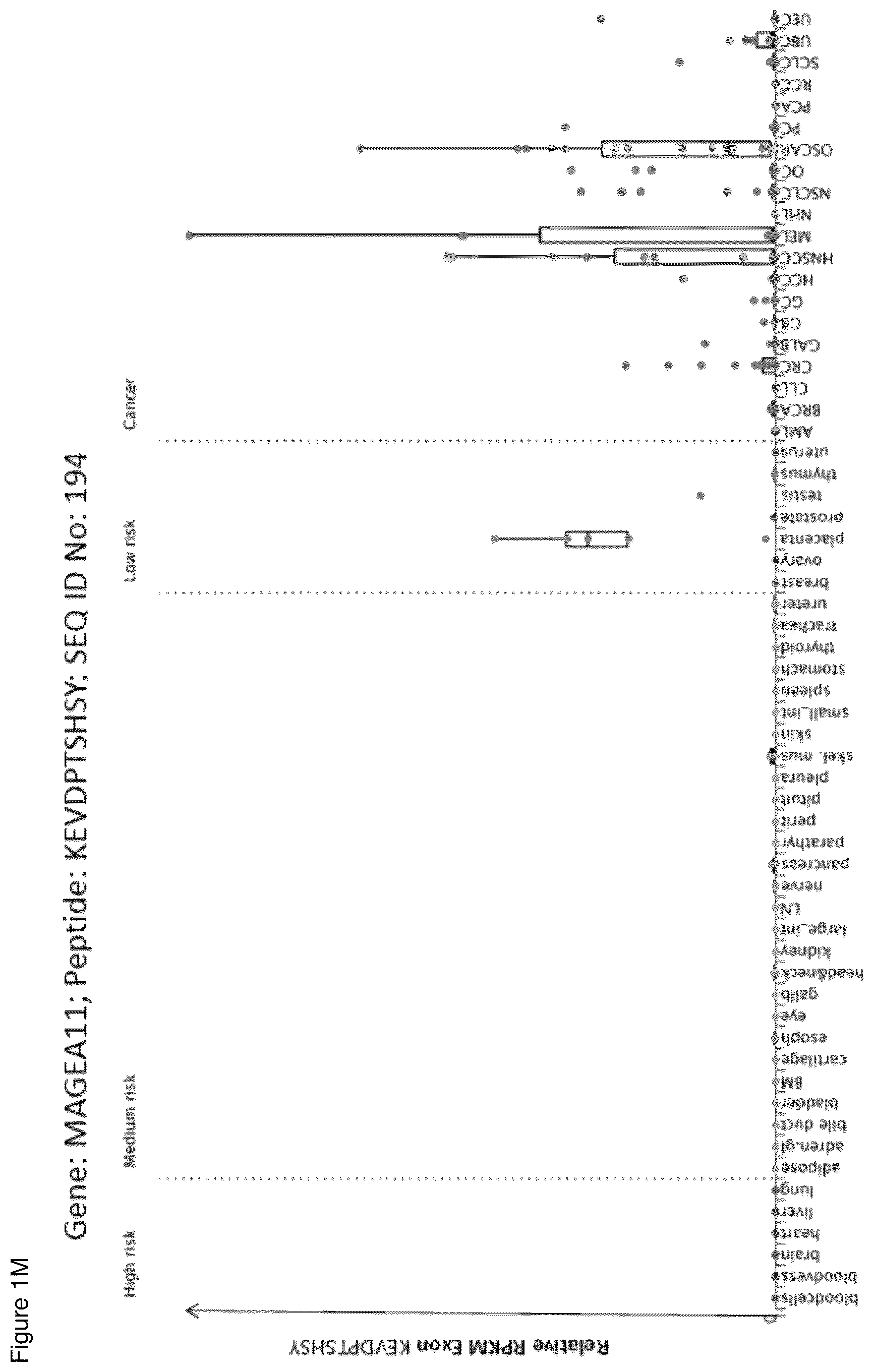 Patent US12098183 Figure 13 – Peptides and combination of peptides for use in immunotherapy against ovarian cancer and other cancers