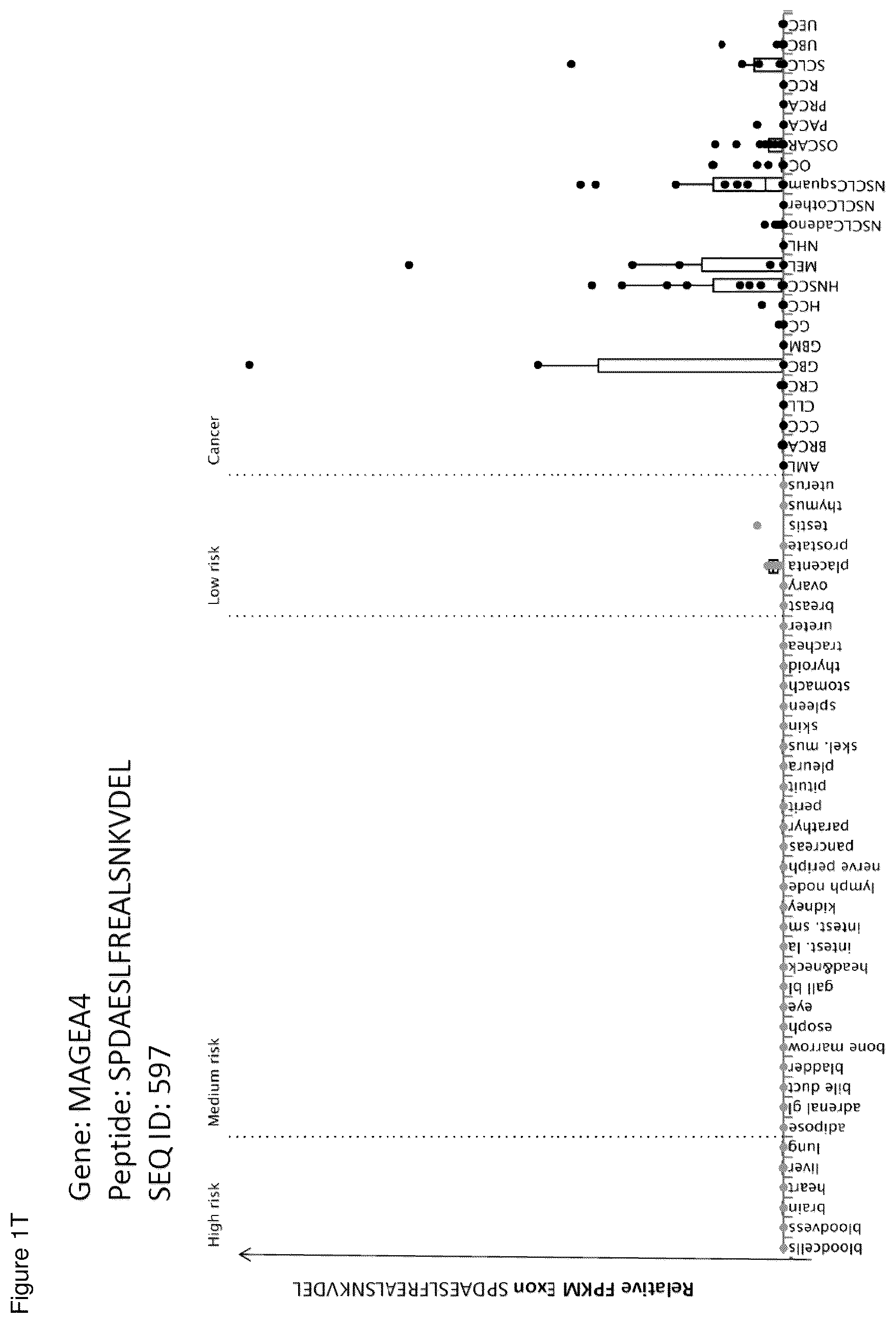 Patent US12098183 Figure 20 – Peptides and combination of peptides for use in immunotherapy against ovarian cancer and other cancers