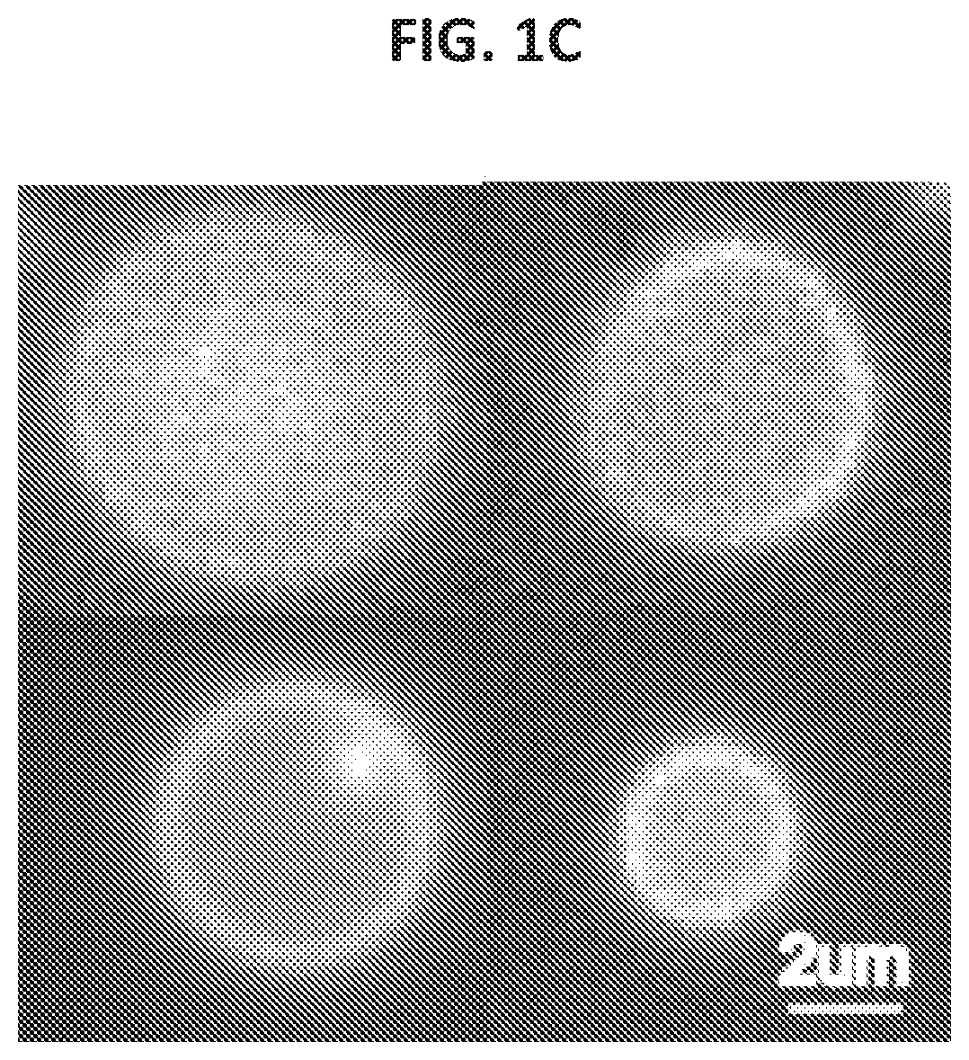 Patent US12098184 Figure 3 – G protein-coupled receptor (GPCR) ligand assay