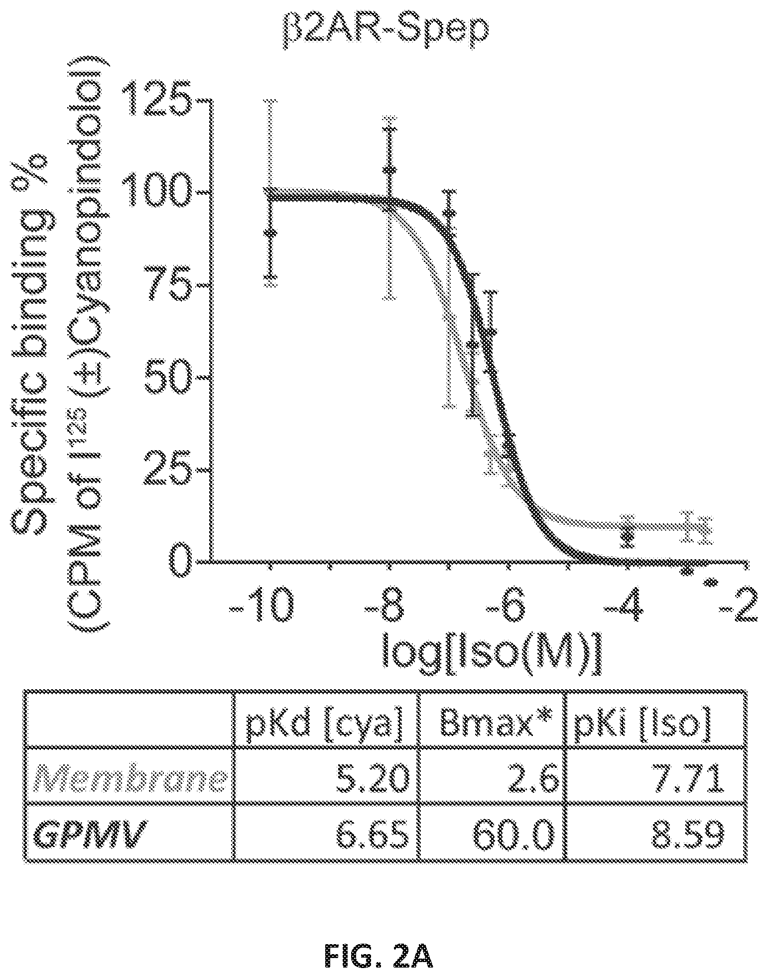 Patent US12098184 Figure 4 – G protein-coupled receptor (GPCR) ligand assay